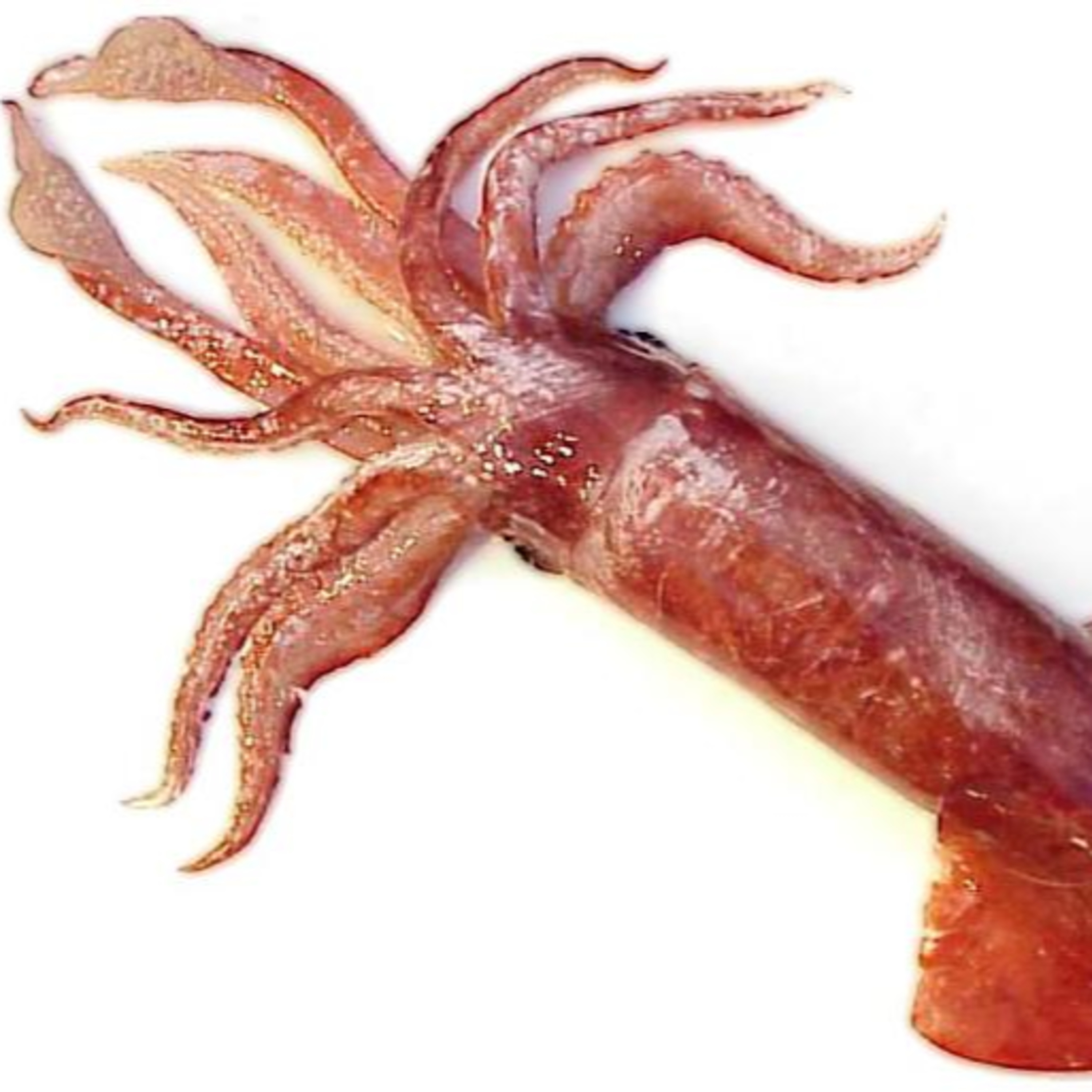 The Alaska Fisheries Report from KMXT