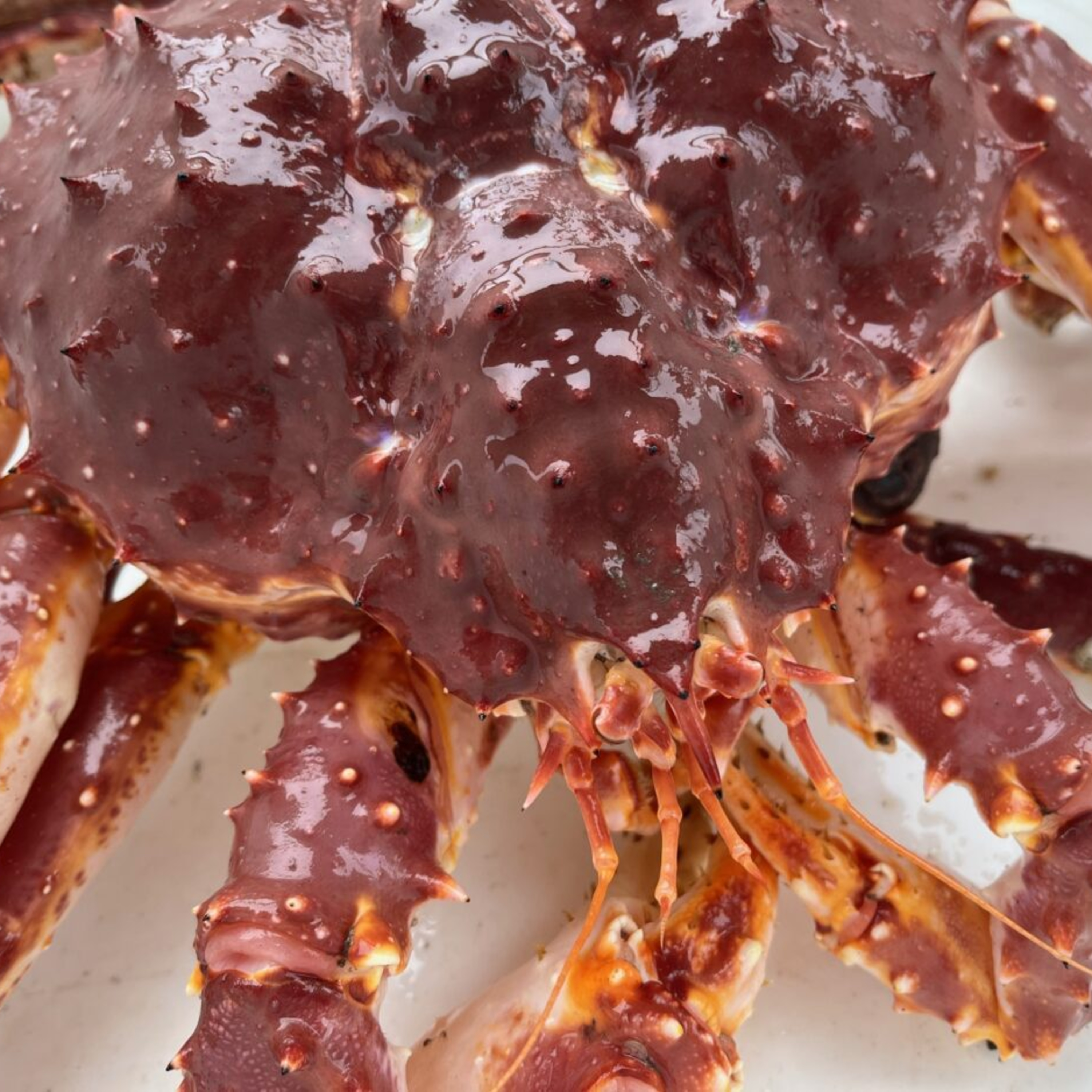 Alaska Fisheries Report 27 November 2025