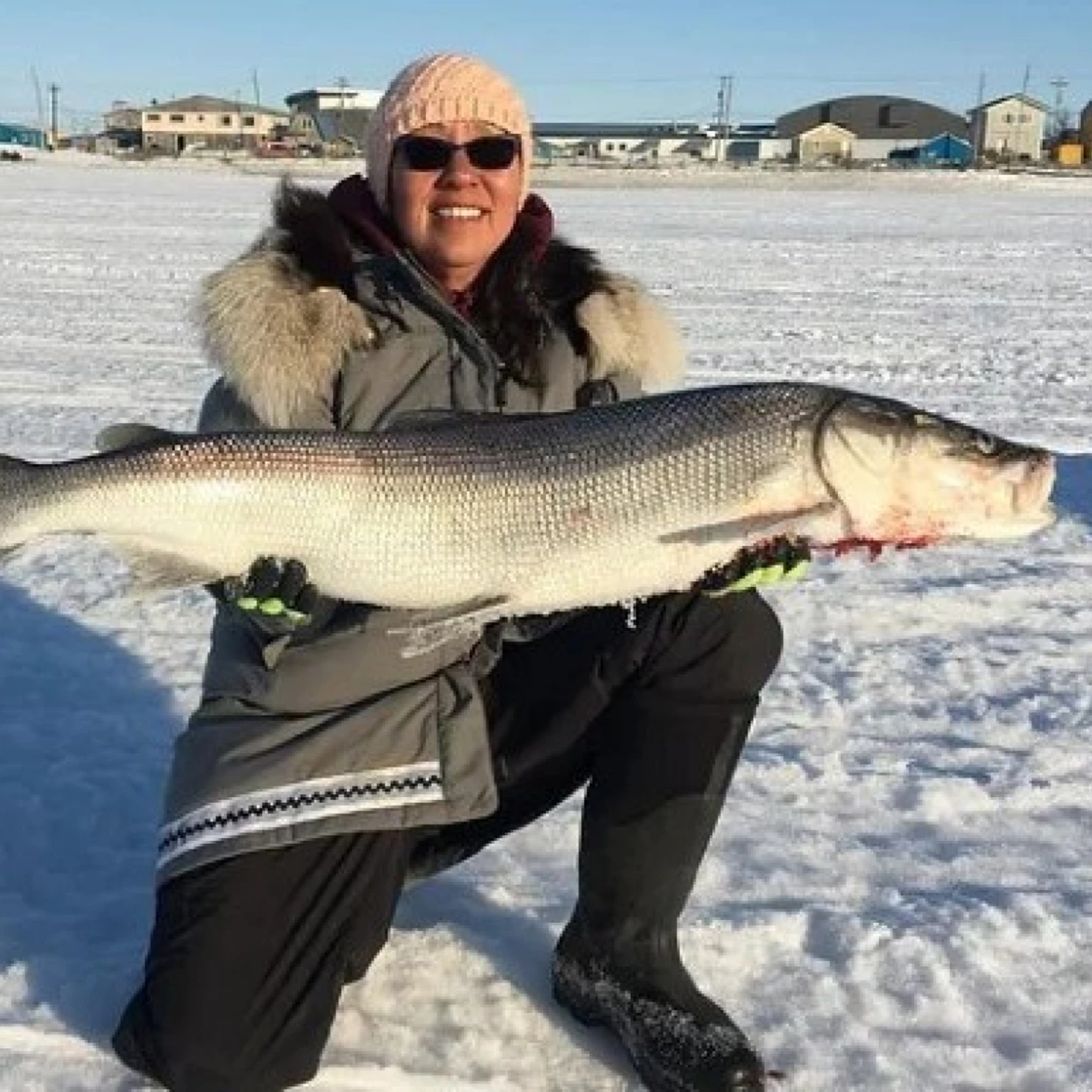 Alaska Fisheries Report 25 December 2025 episode artwork