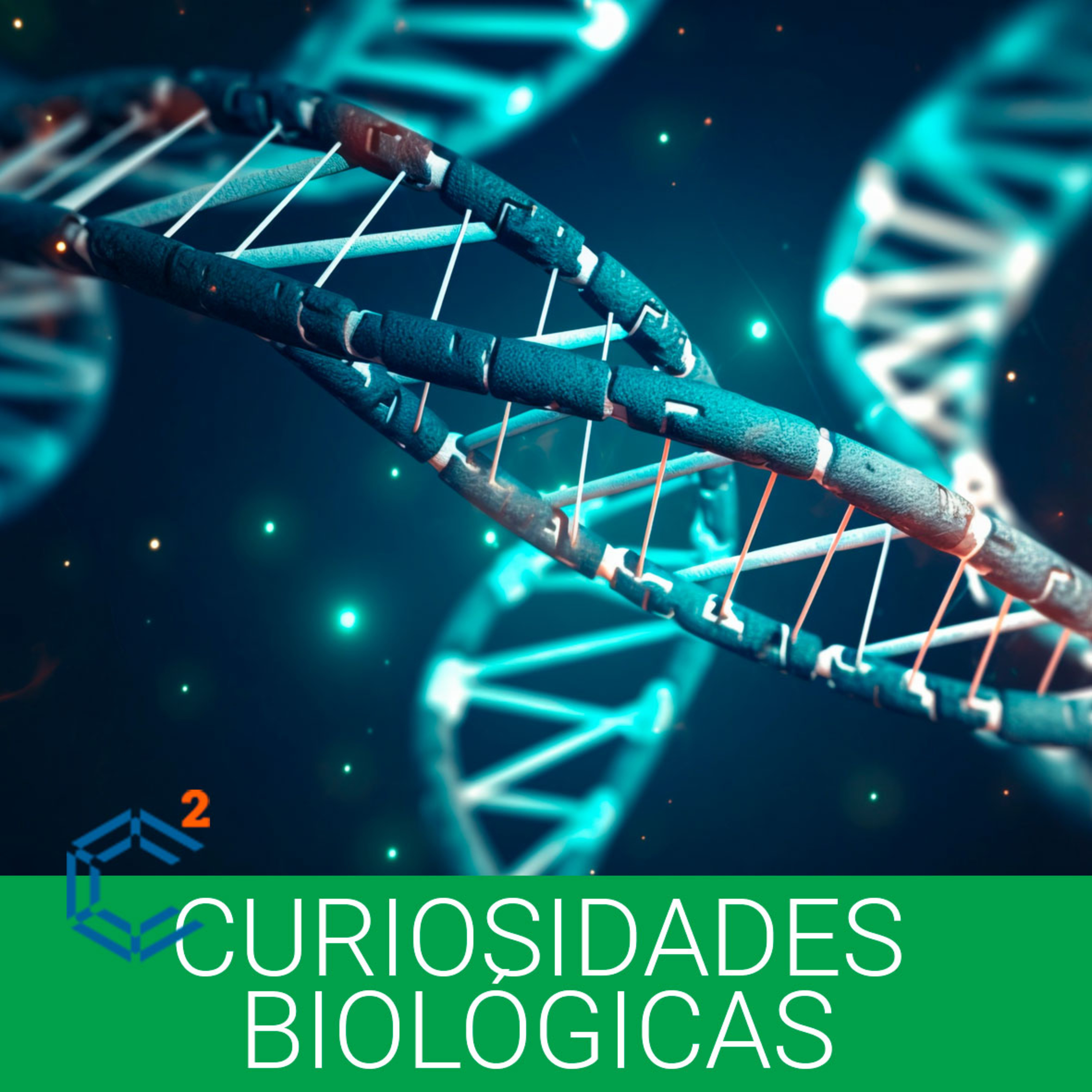 Conexão Ciência C²