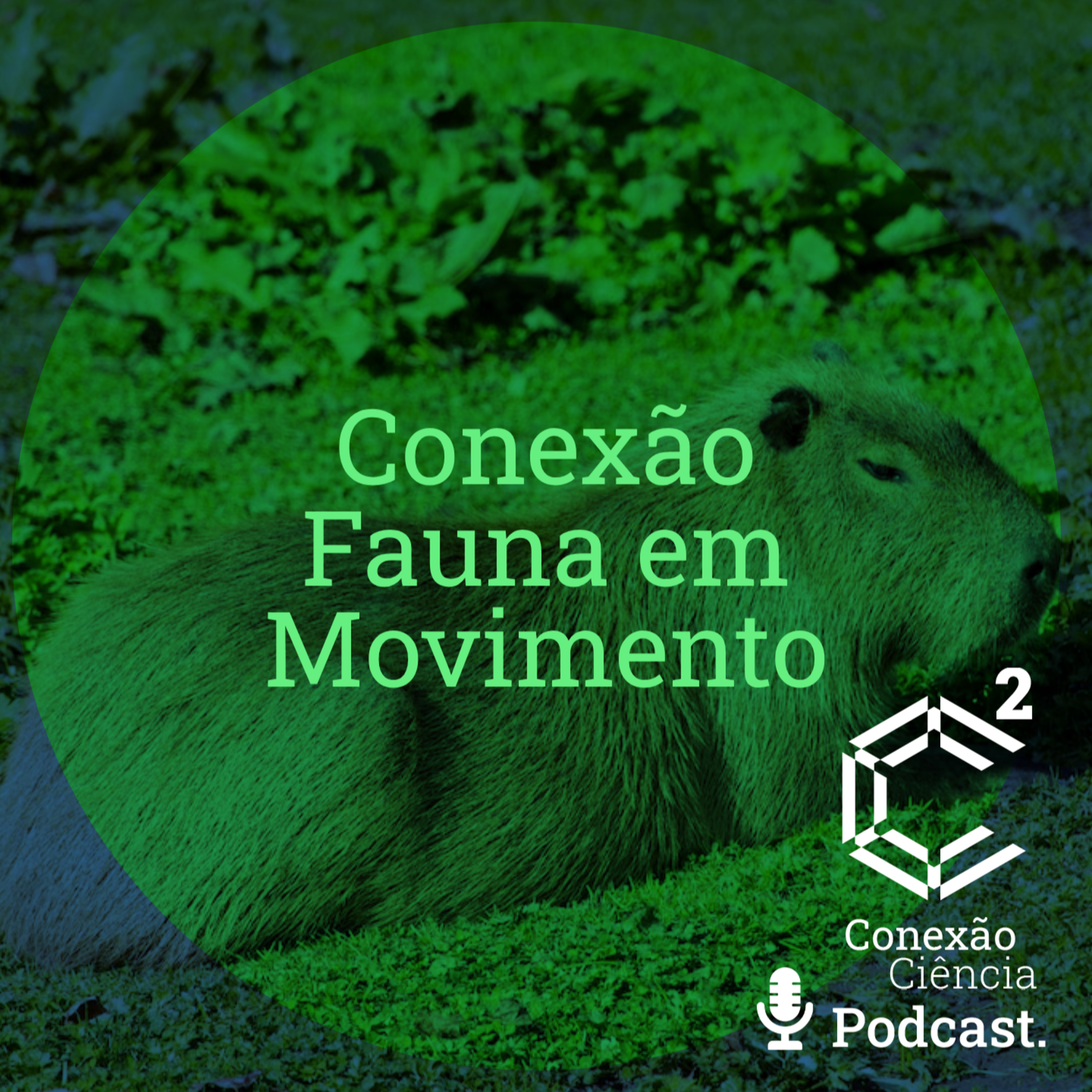 Conexão Fauna em Movimento - Episódio 3 episode artwork