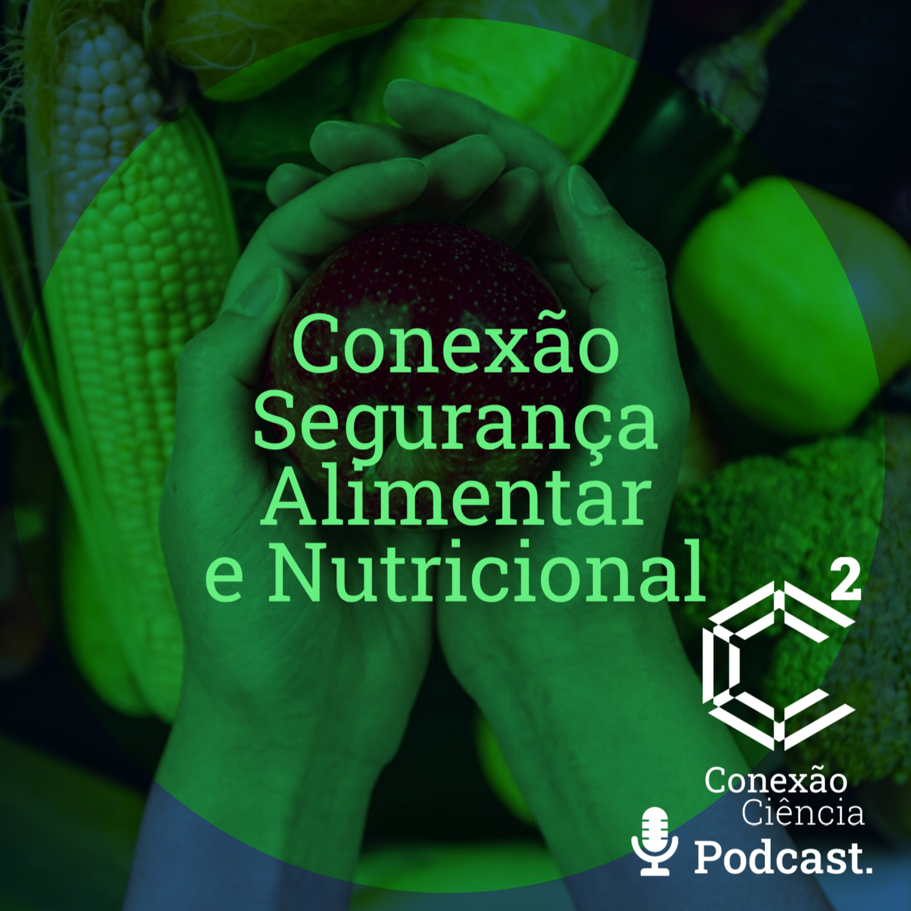 Conexão Segurança Alimentar e Nutricional episode artwork