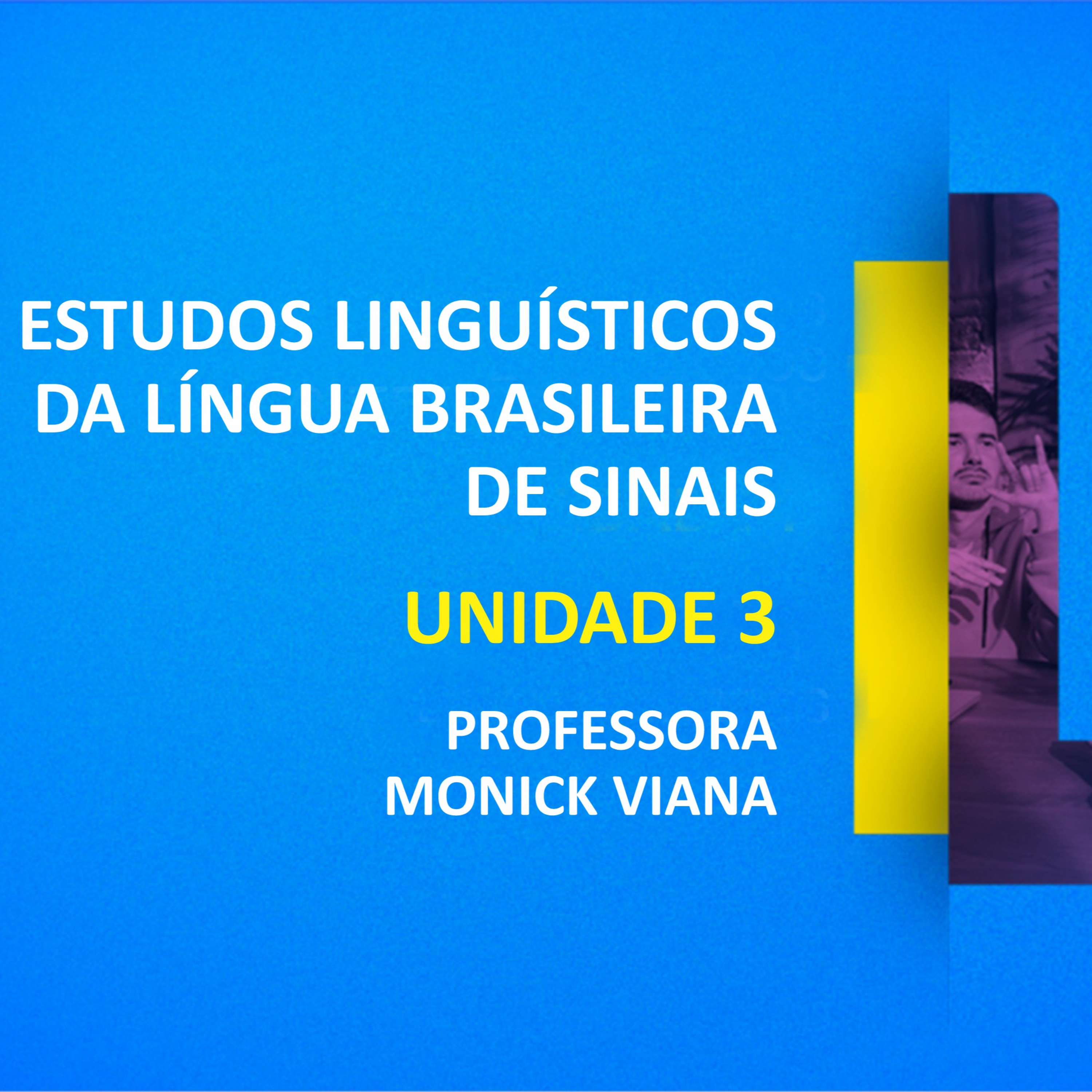 CURSO TÉCNICO EM TRADUÇÃO E INTERPRETAÇÃO DE LIBRAS | ESTUDOS LINGUÍSTICOS DA LÍNGUA BRASILEIRA DE SINAIS | UNIDADE 3 episode artwork