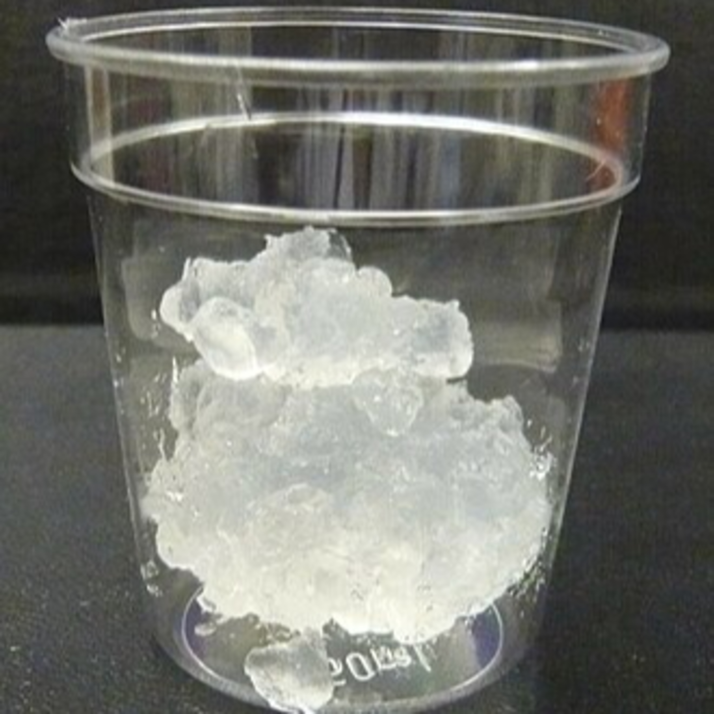 Portada de Con Ciencia Colectiva
