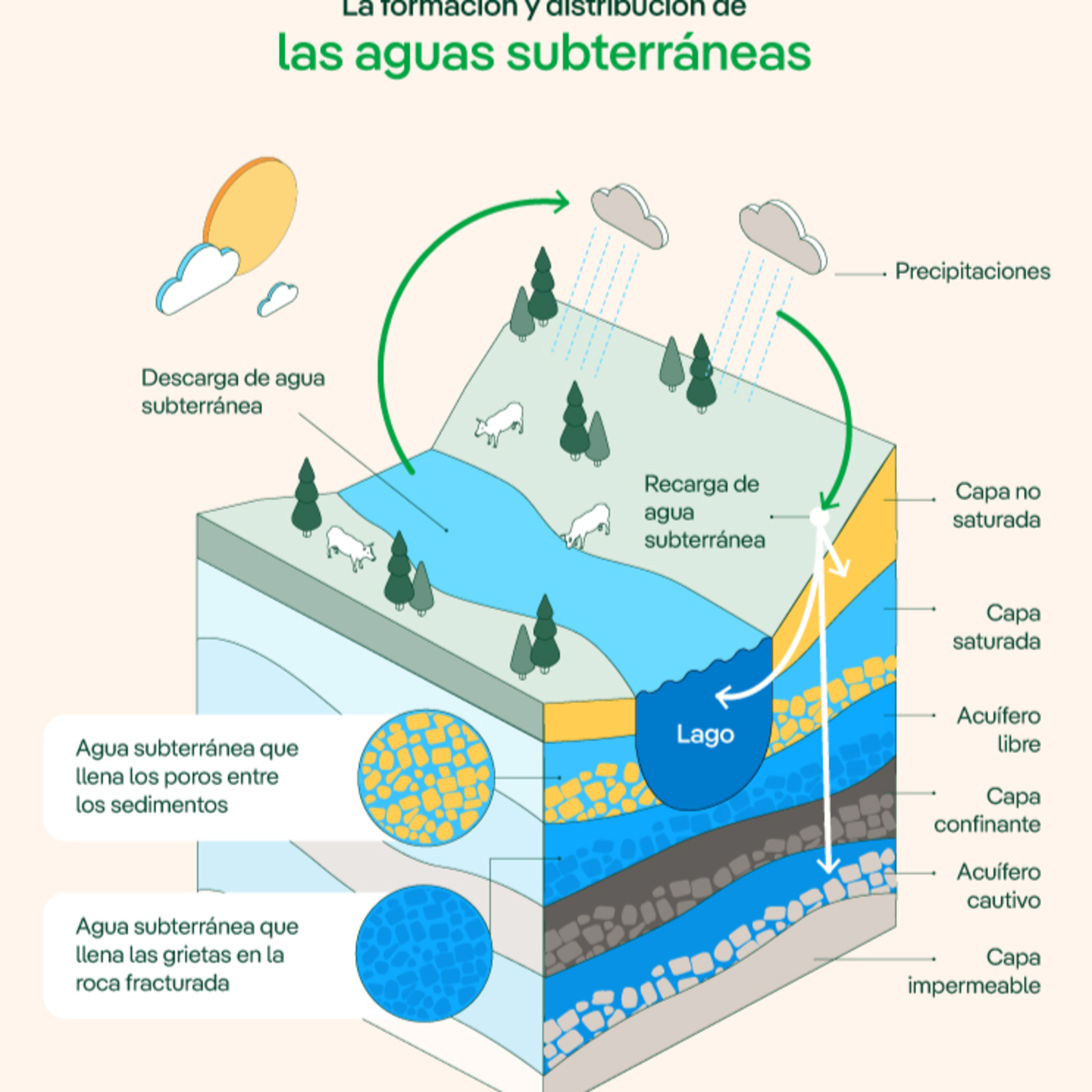 Portada de Con Ciencia Colectiva