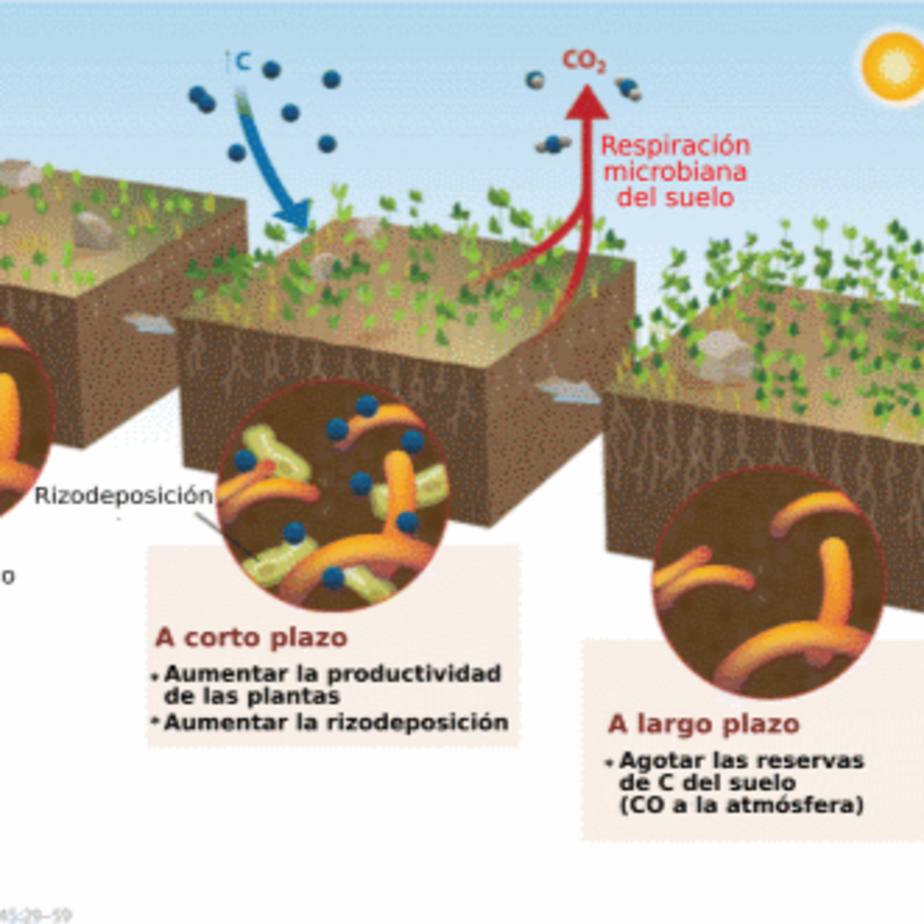 Portada de Con Ciencia Colectiva