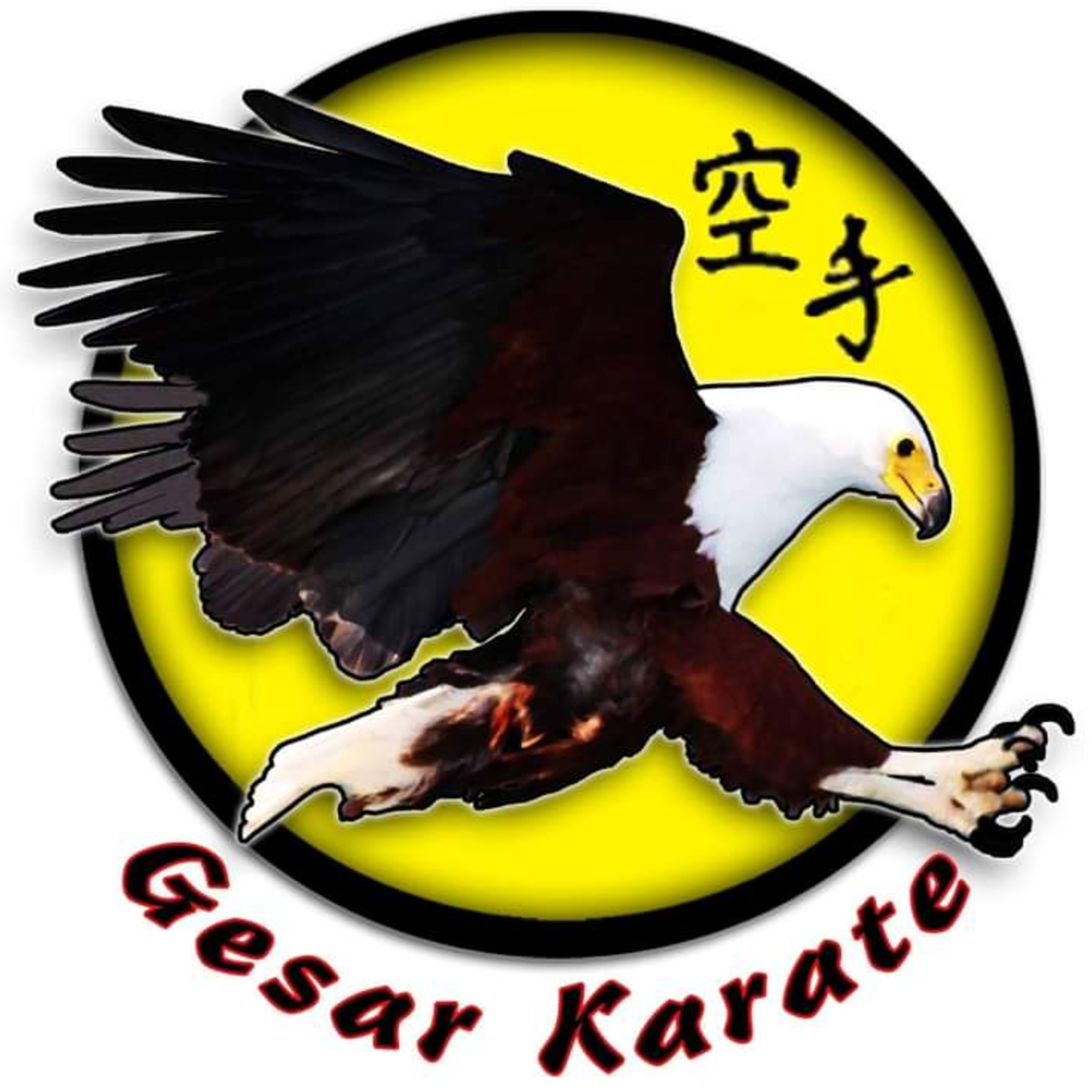 Gesar Karate -Holsworthy,Help get to Students to Came a for WKU World Championship