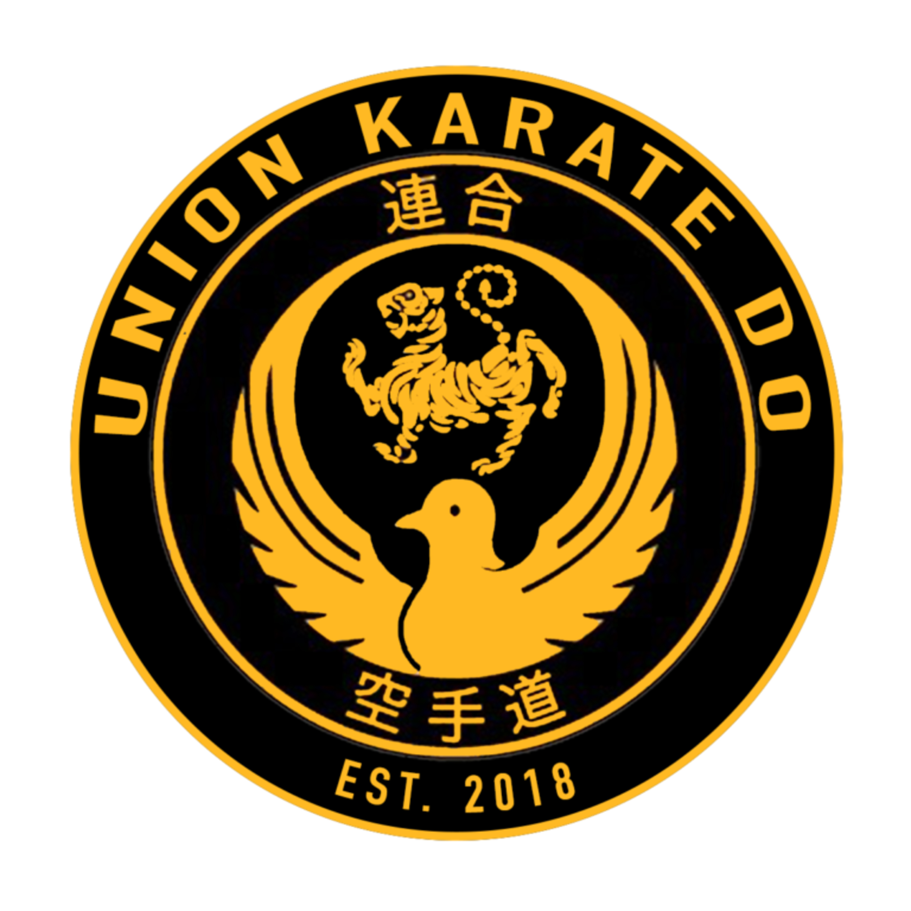 Aaron Iain Blake _Union Karate Do[https://www.facebook.com/unionkaratedo]