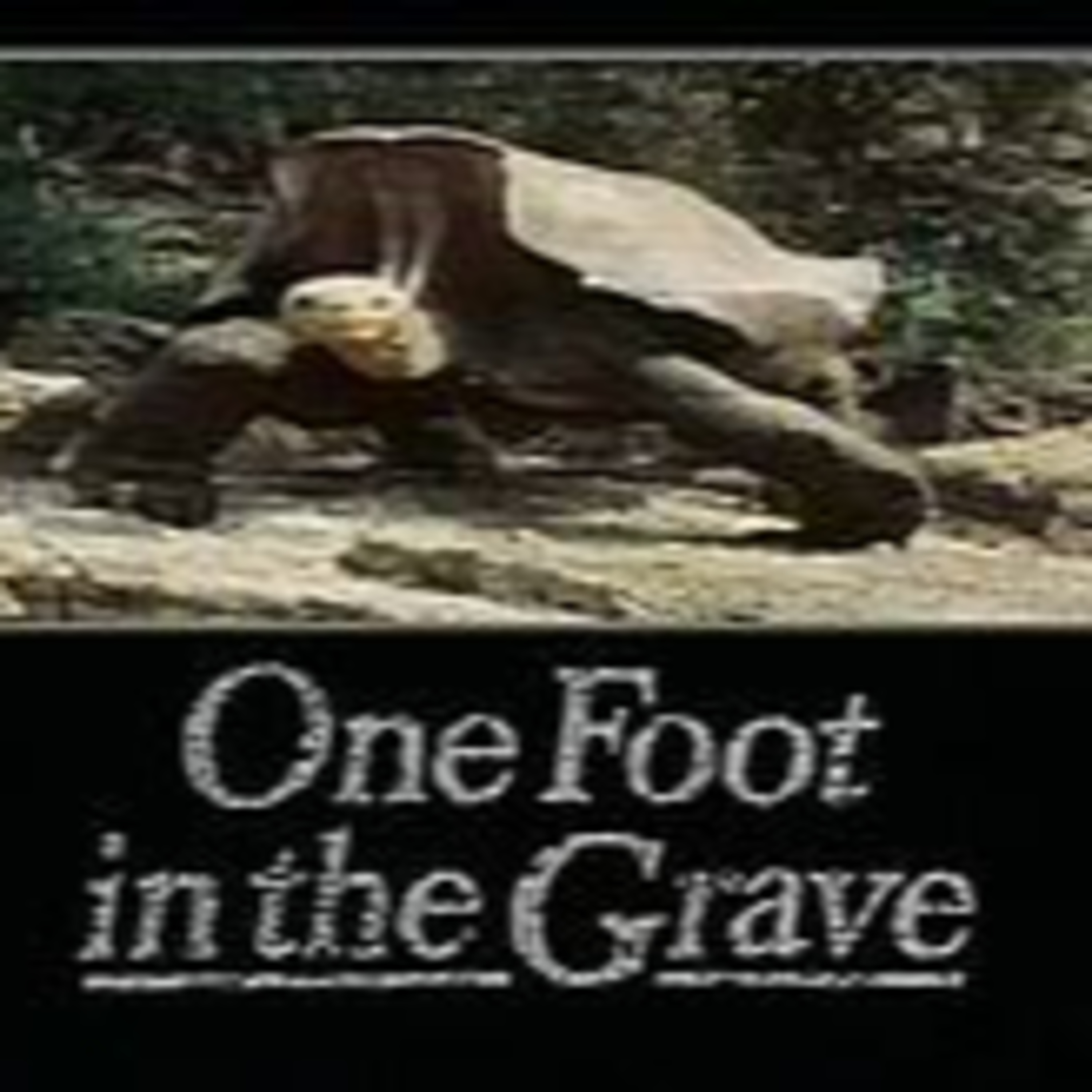 One Foot In The Grave 1990 In Luton Airport No -One Can Hear Yoi Scream