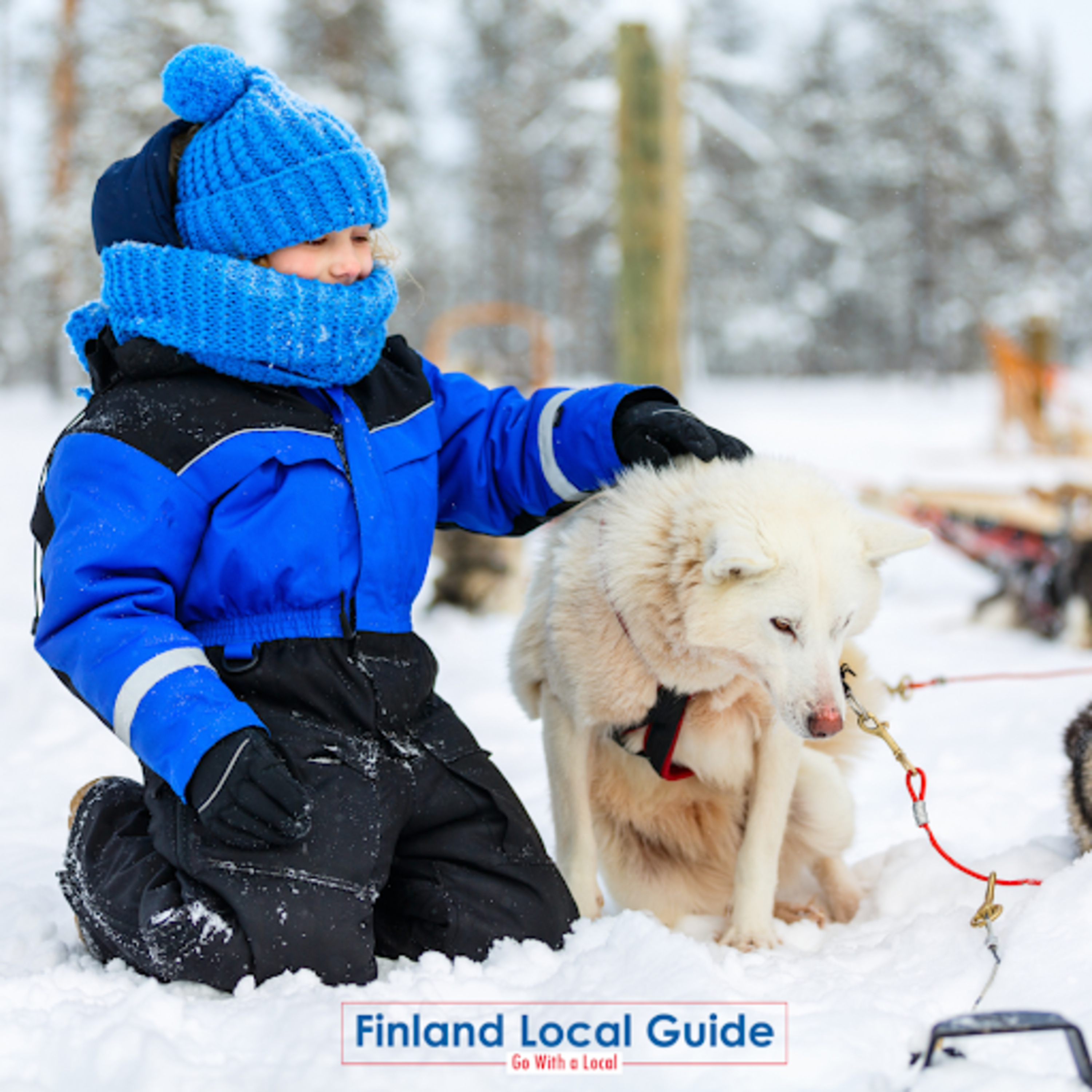 Discover the Magic of Finland with a Finland Local Guide episode artwork