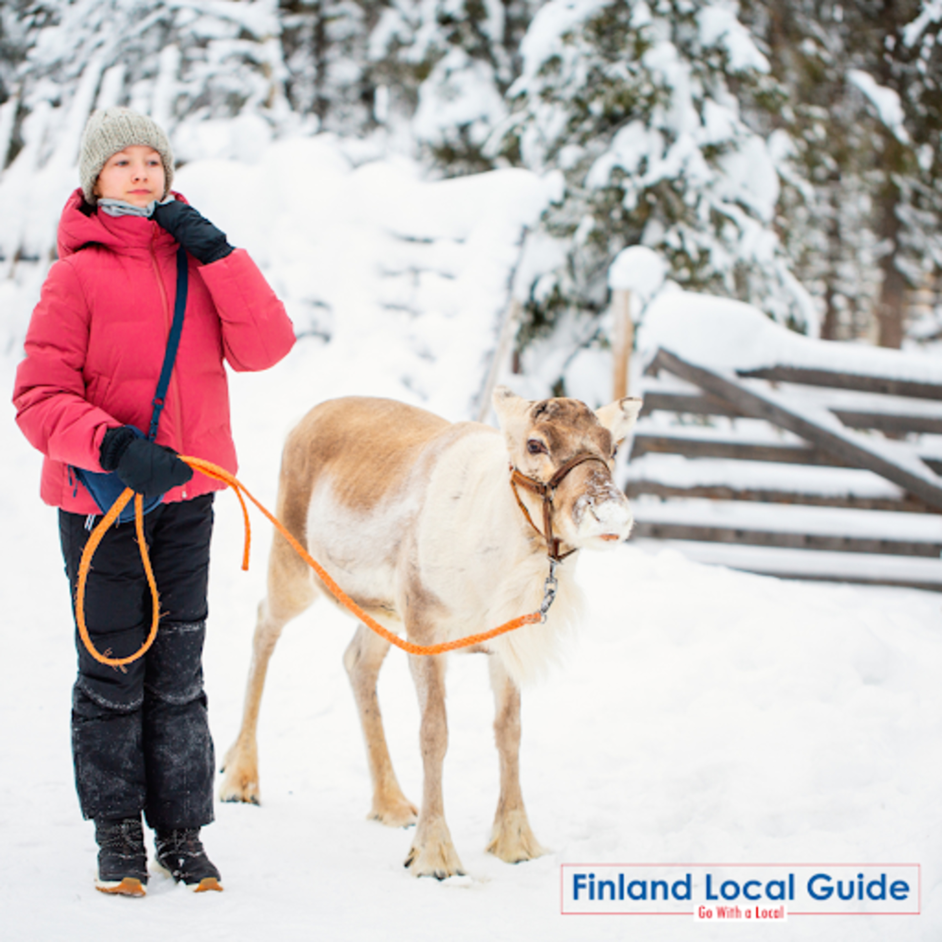 Book Dreamy Lapland Holiday Packages with Finland Local Guide episode artwork