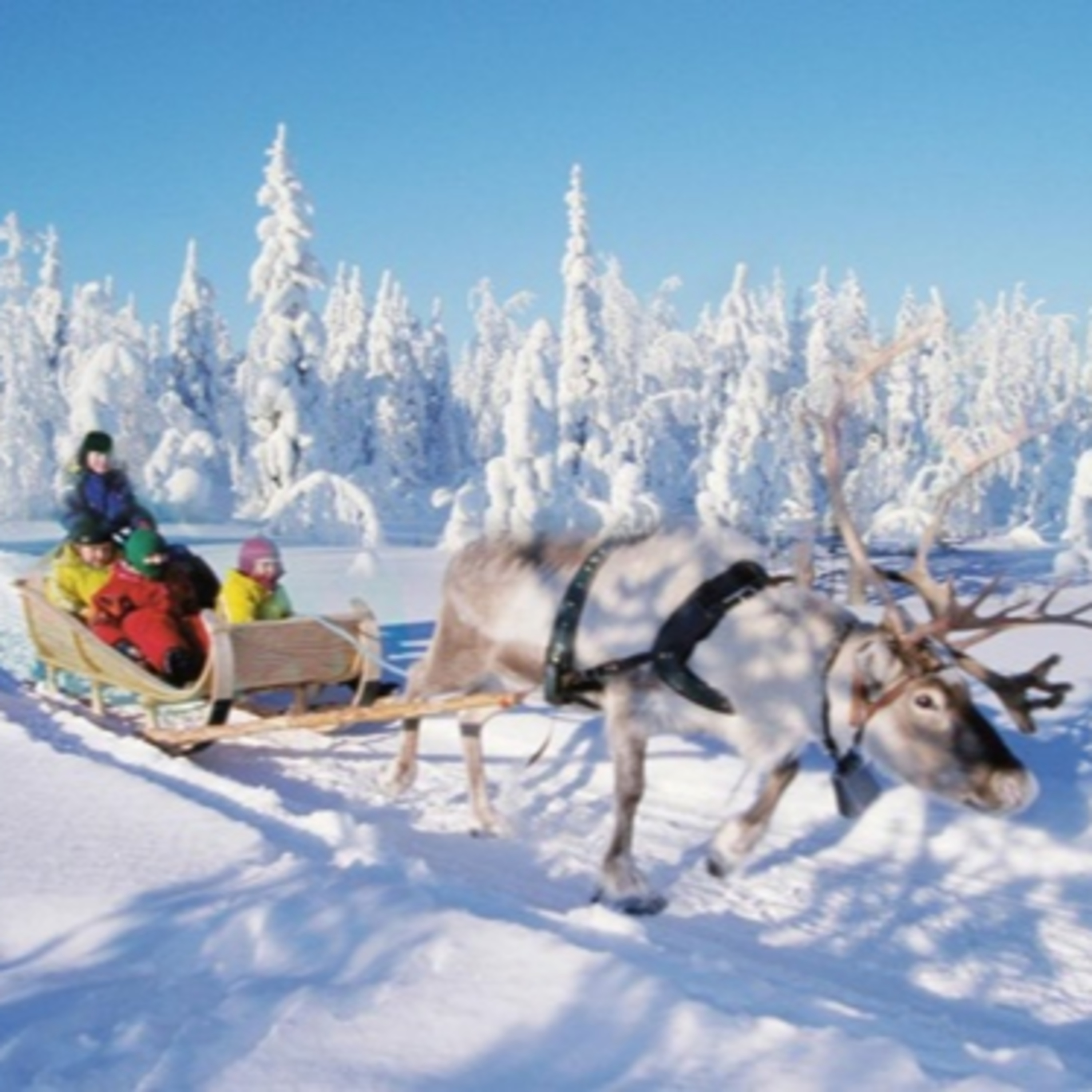 Lapland Adventure with Finland Local Guide episode artwork