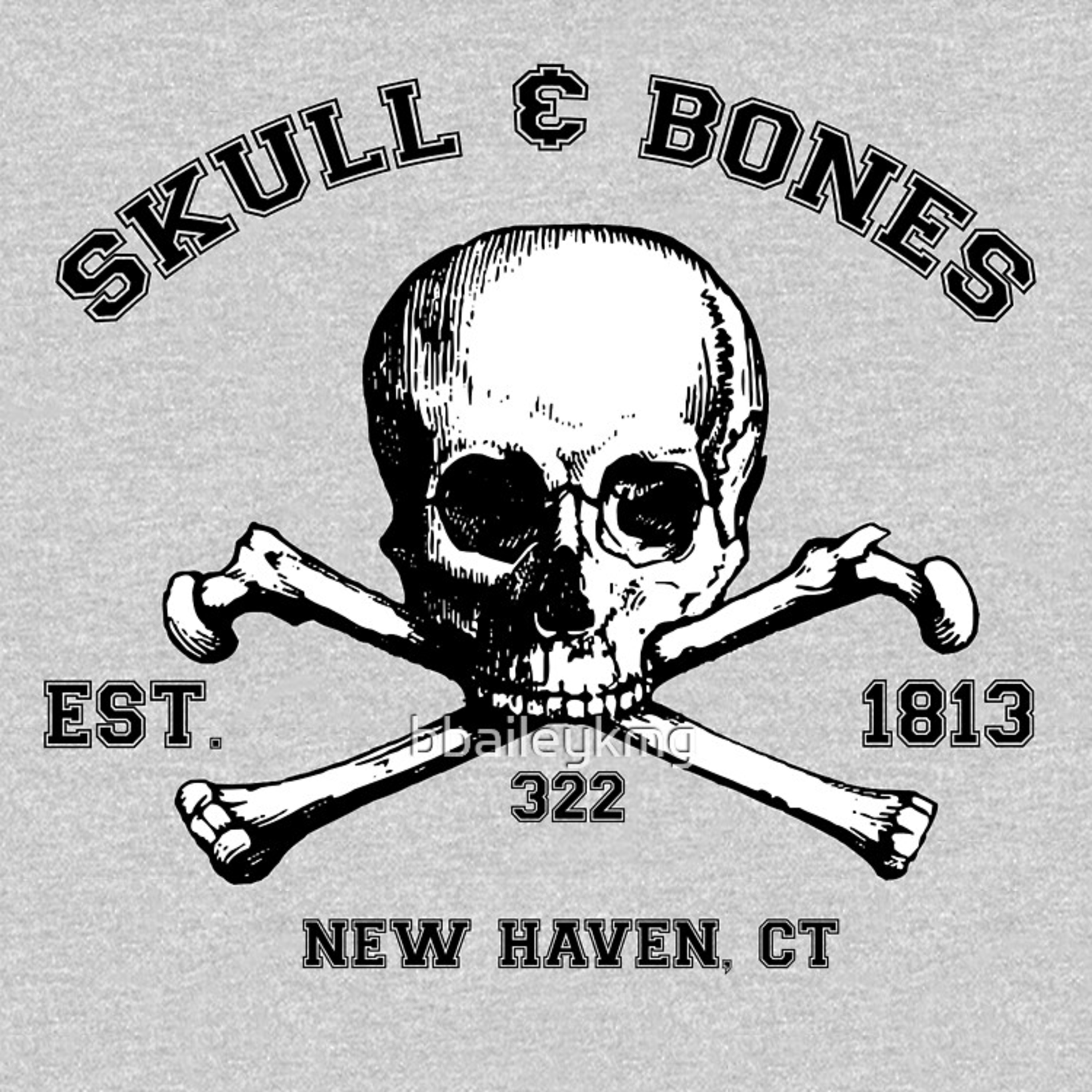🏮P-DIDDY ON THE RUN🏃‍♂️322💀SKULL & BONES🦴BRIDGE COLLAPSES🌉FLOOD OF TRUTH🌊 episode artwork