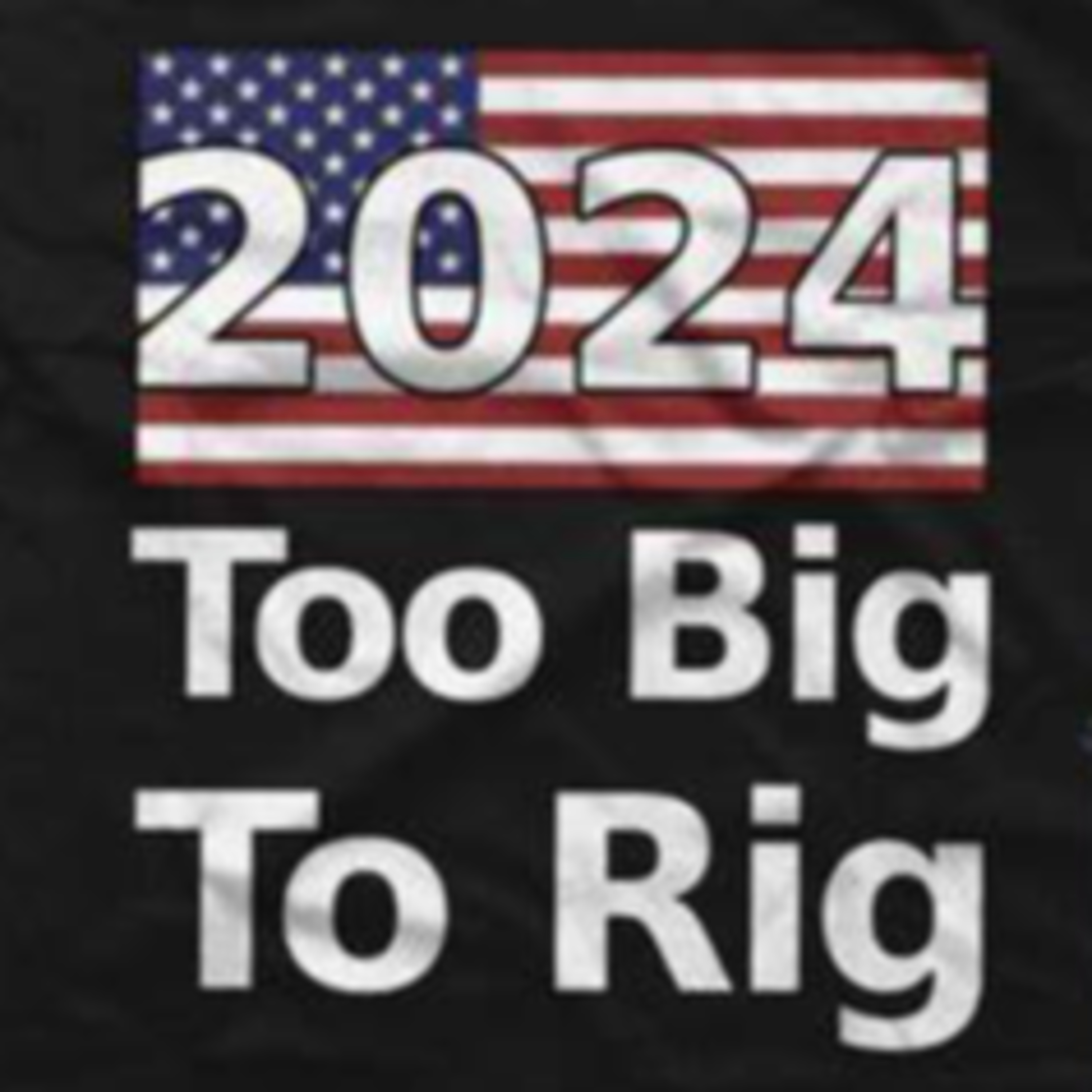 🏮TRUMP RALLY 100K PATRIOTS☑TOO BIG TO RIG⚠THE SQUEEZE IS ON😬STAY DANGEROUS⚠ episode artwork