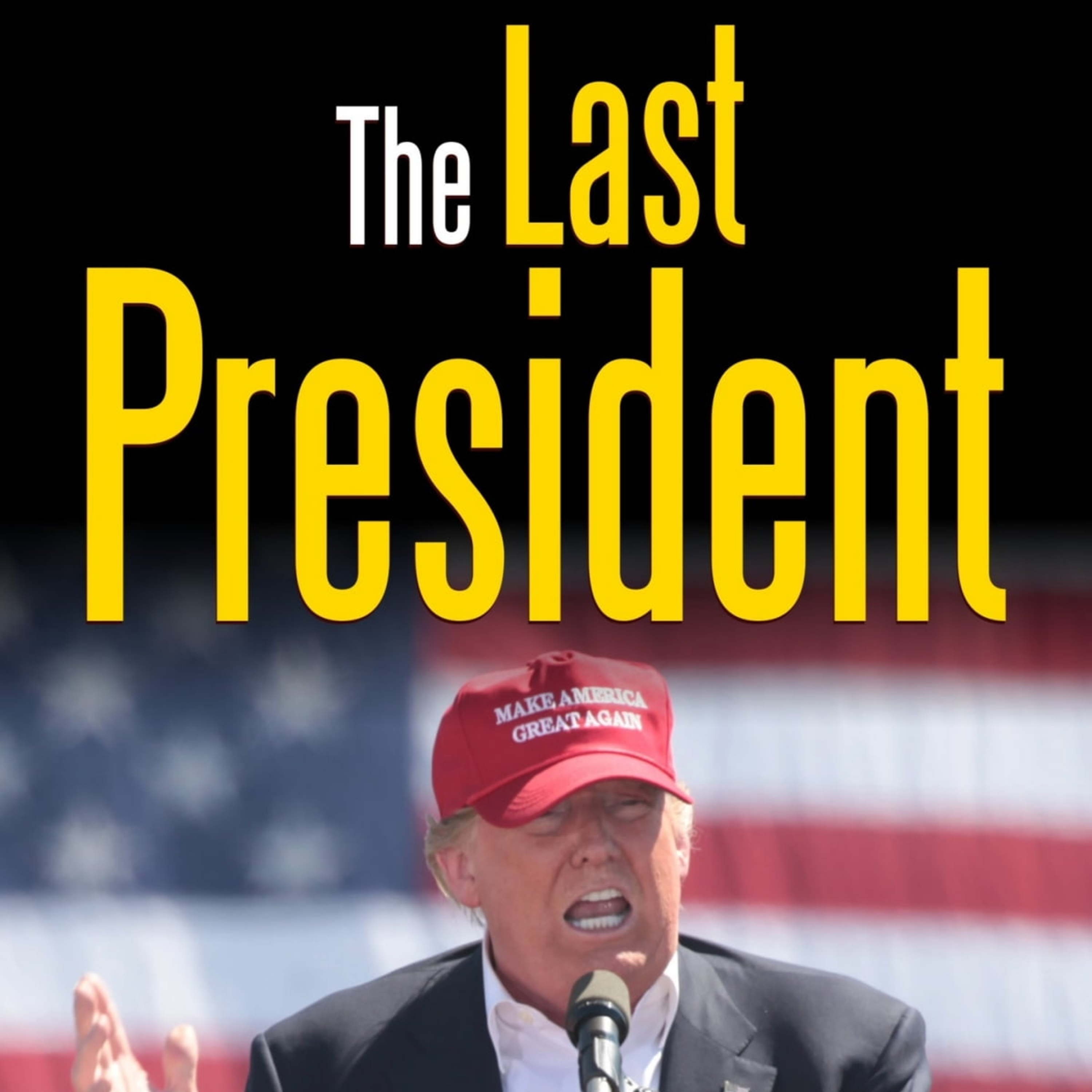 TRUMP🏮THE LAST PRESIDENT🚩OSWALD 2.0😲MK ULTRA MIND CONTROL🧠DIDDY IS DONE!! episode artwork
