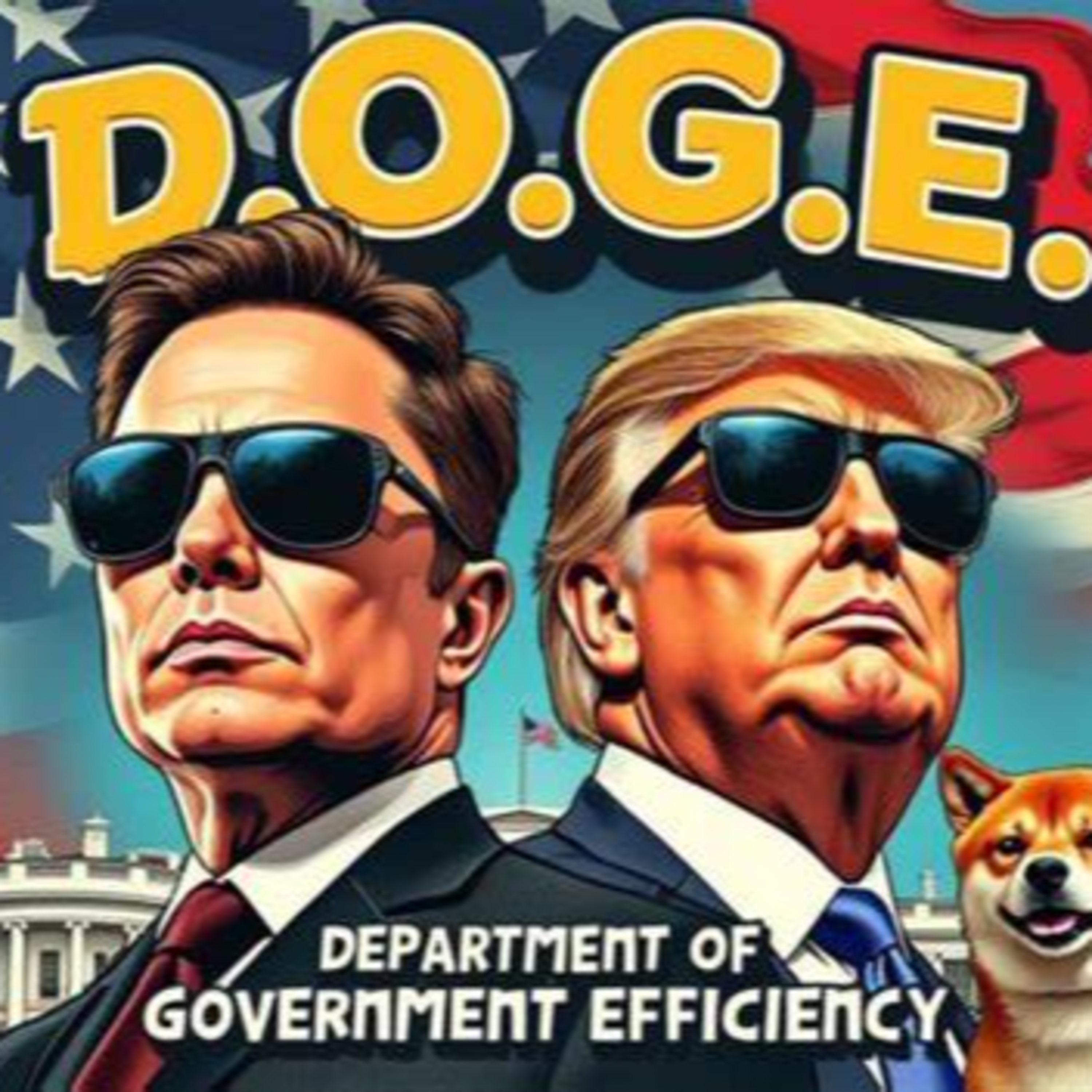 🐺D.O.G.E CUTTING WASTE, FRAUD & ABUSE 🛑INFO CIVIL WAR⚠ Left vs. Right to Right vs. Wrong. episode artwork