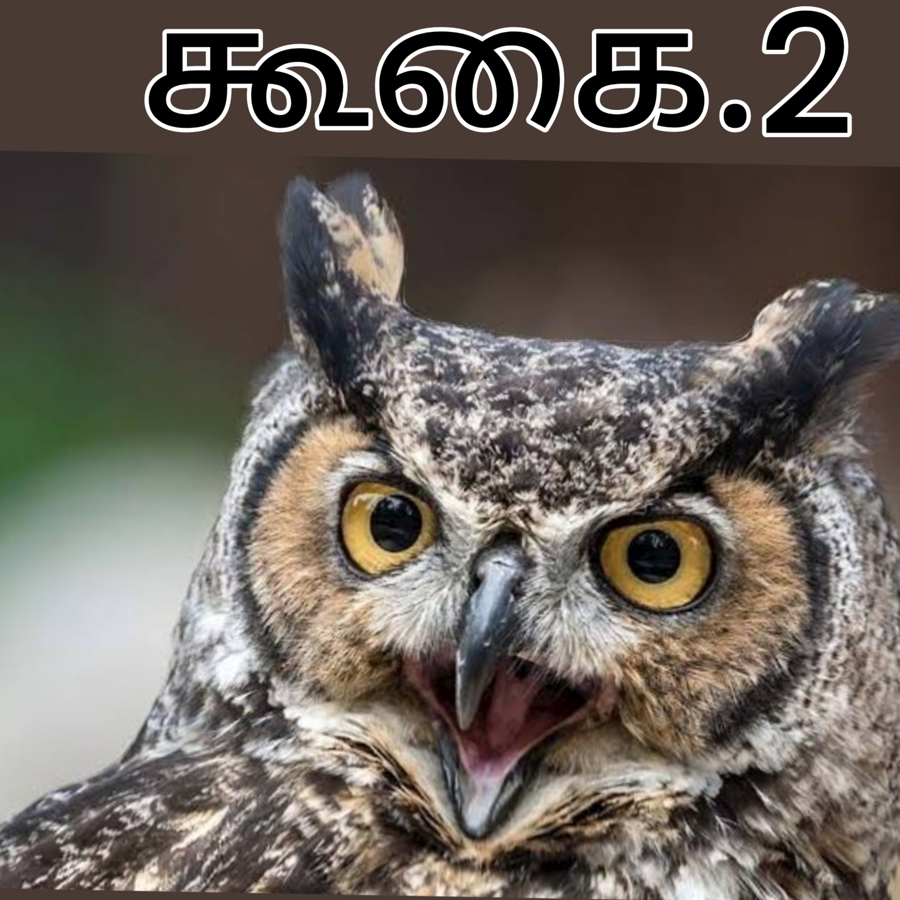 கூகை.2 episode artwork