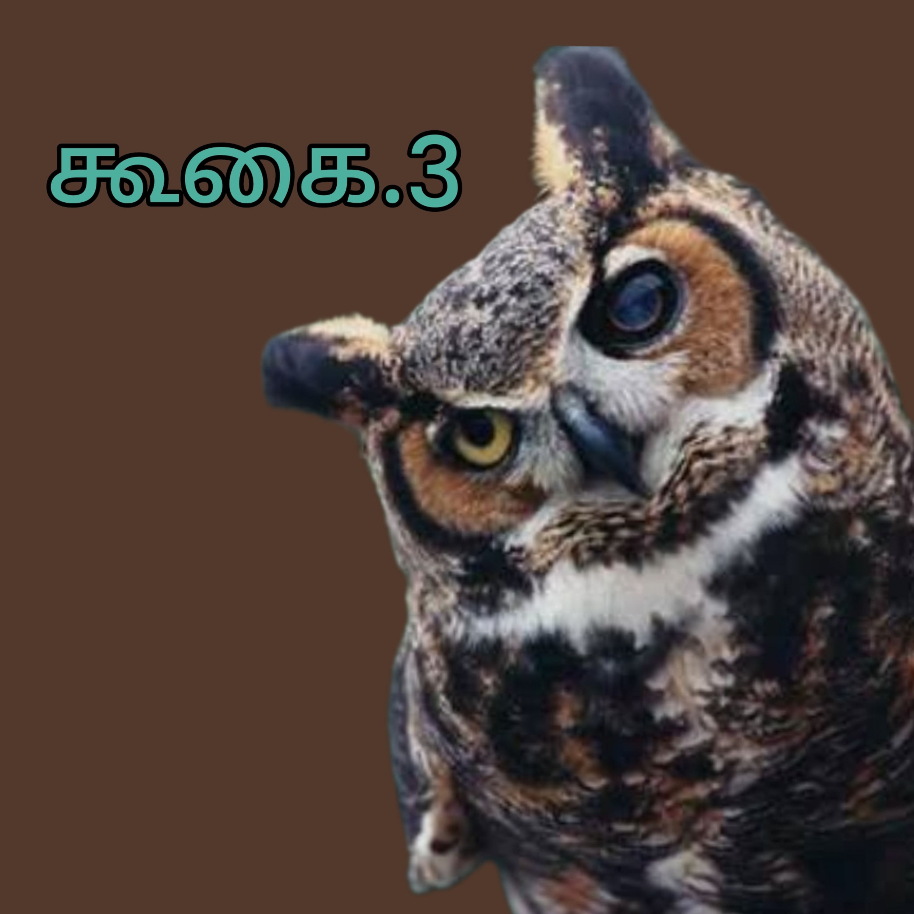 கூகை.3 episode artwork