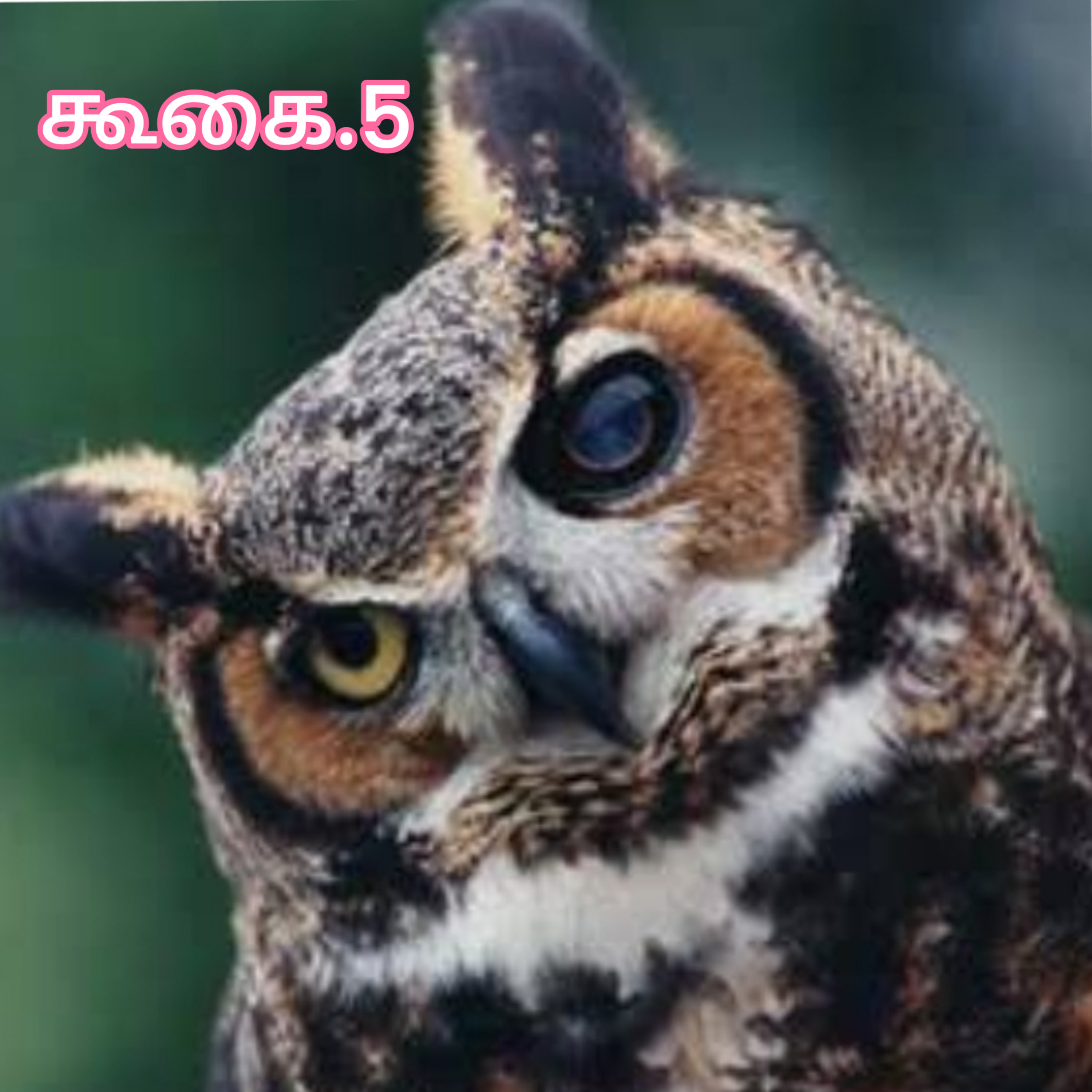 கூகை.5 episode artwork