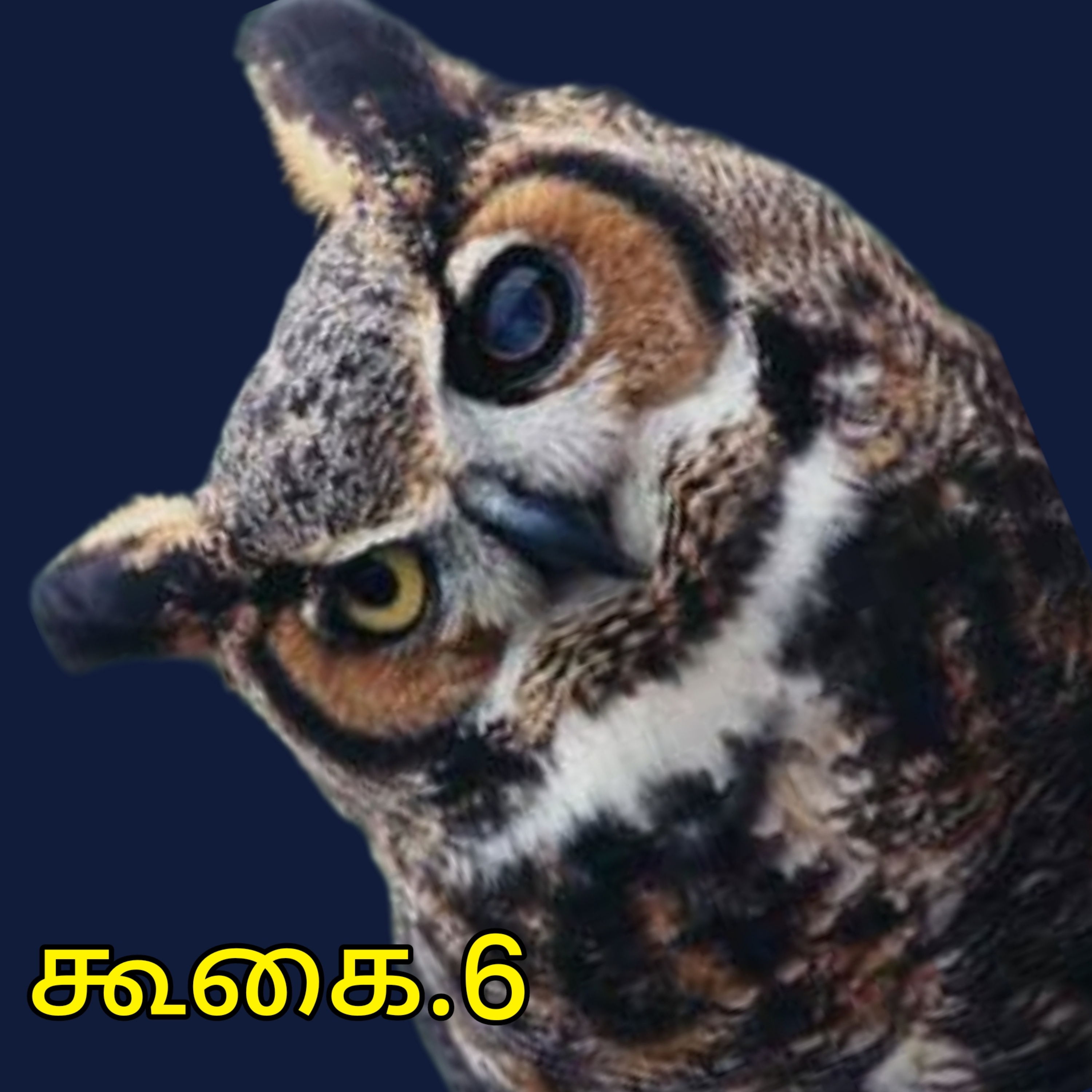 கூகை.6 episode artwork