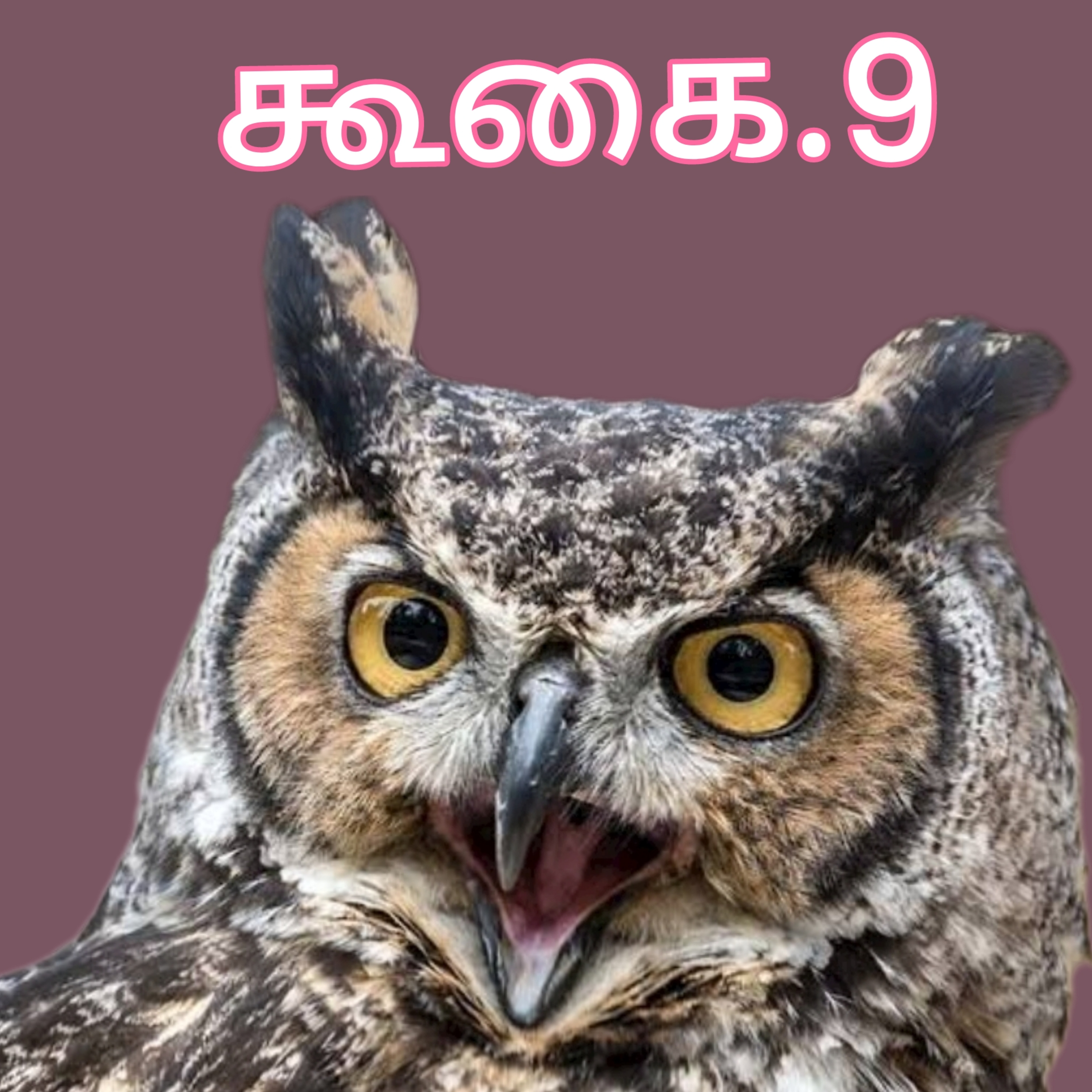 கூகை.9 episode artwork