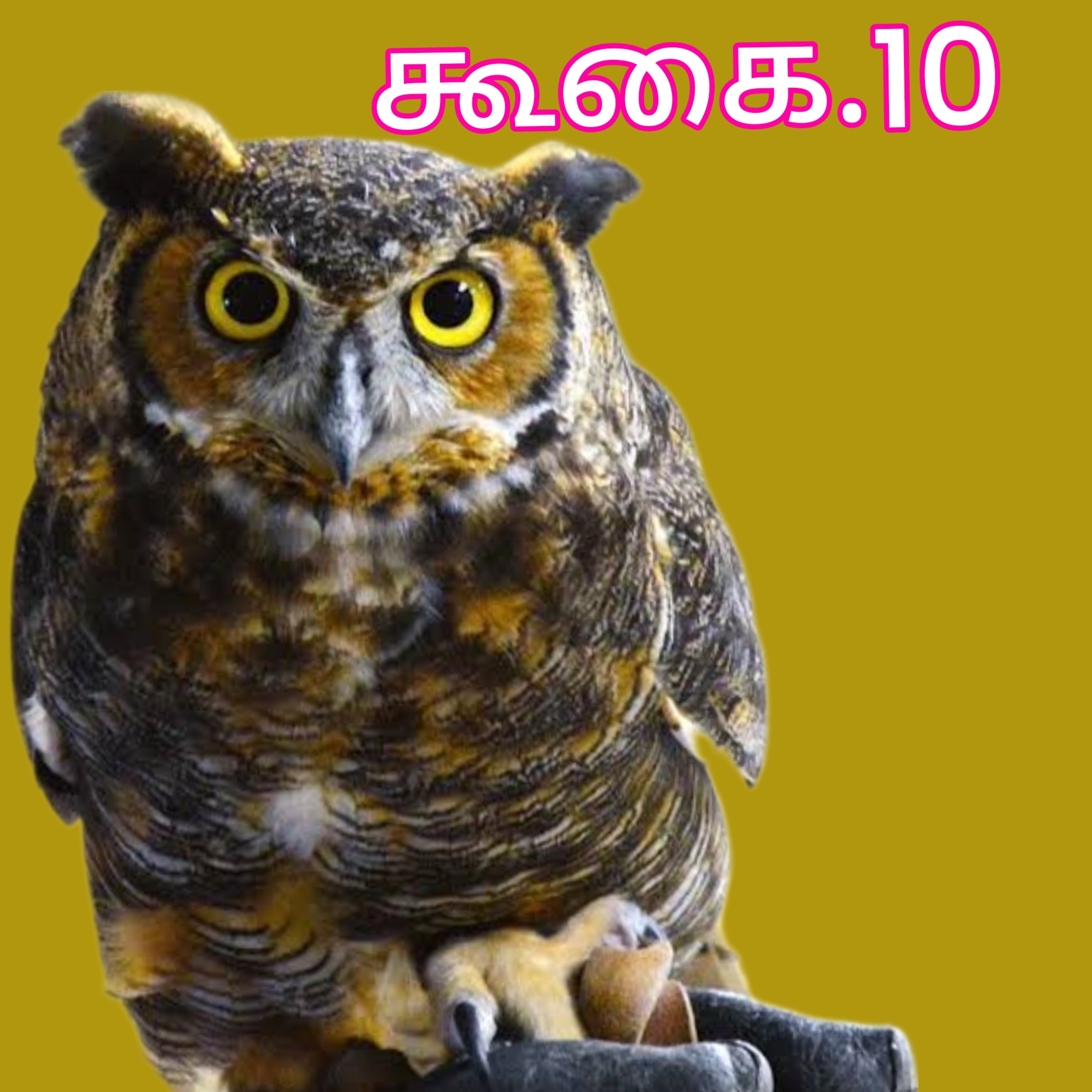 கூகை.10 episode artwork