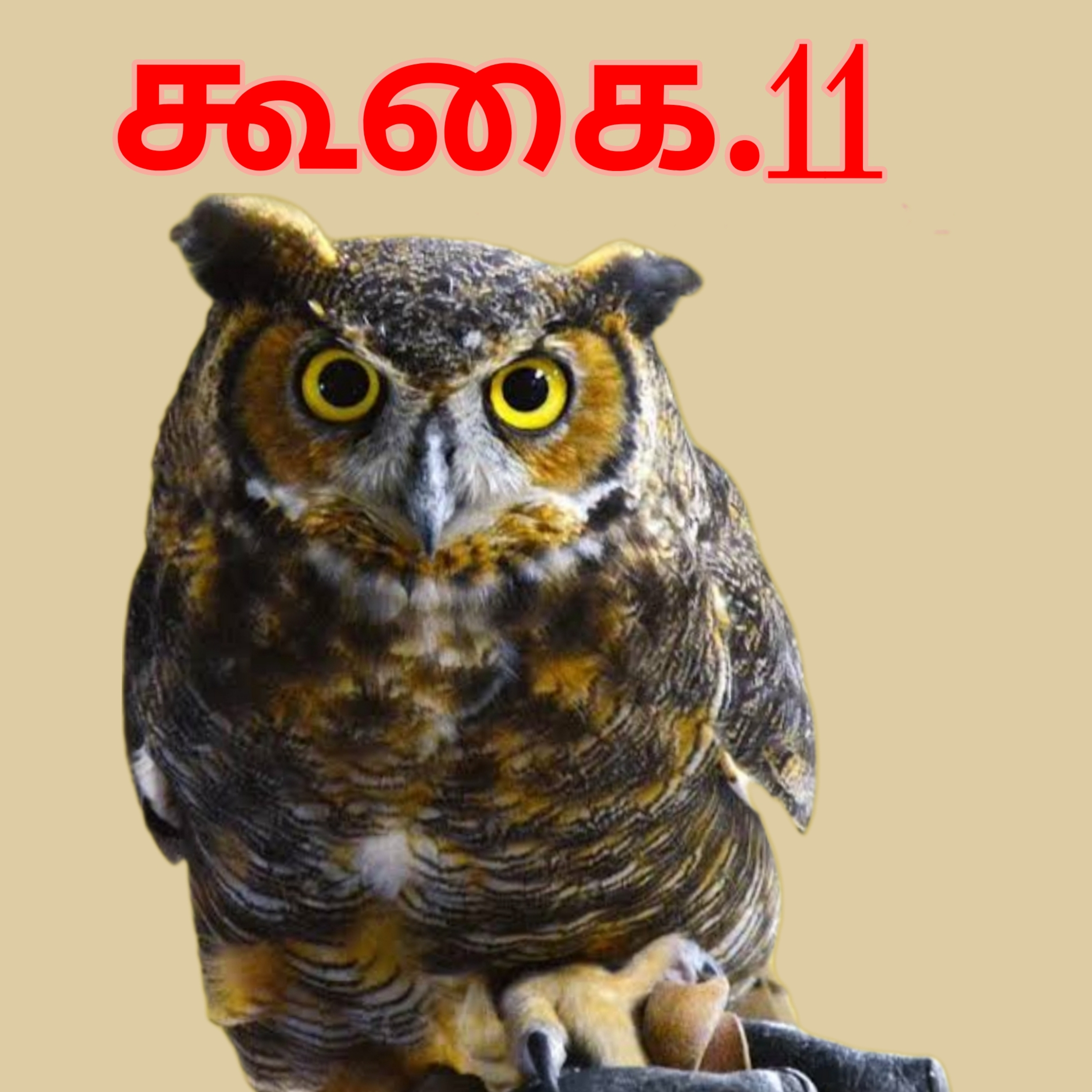 கூகை.11 episode artwork