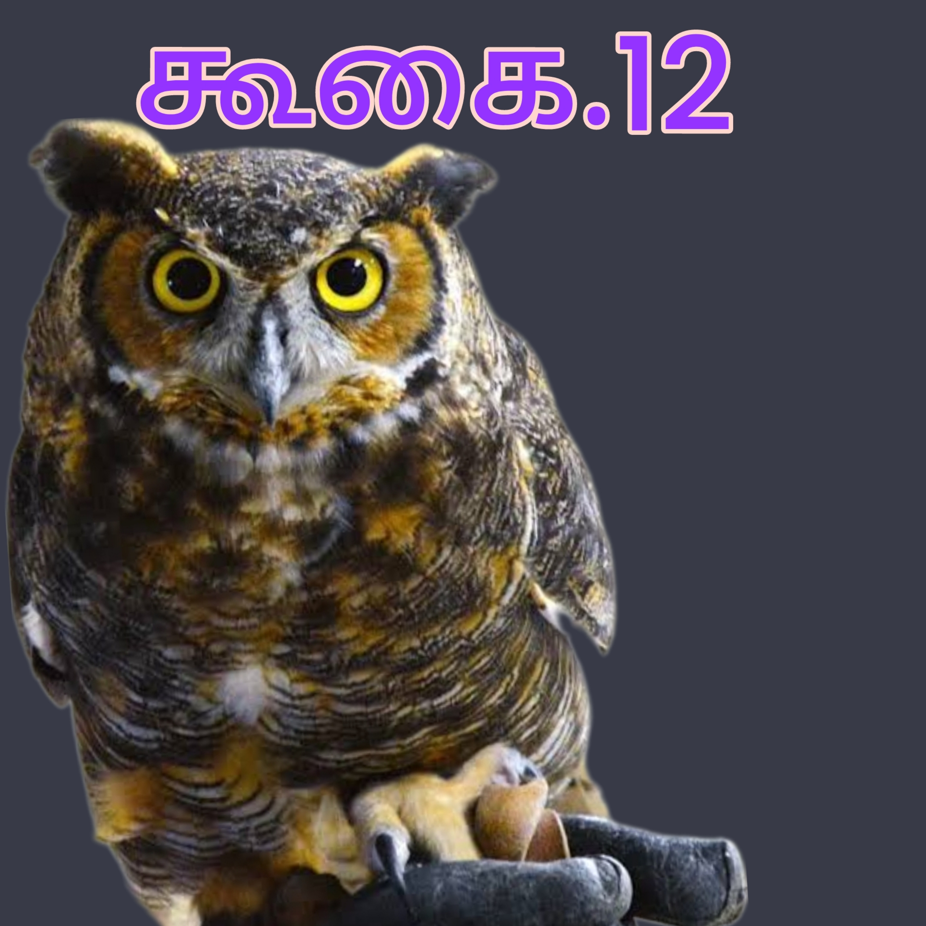 கூகை12 episode artwork