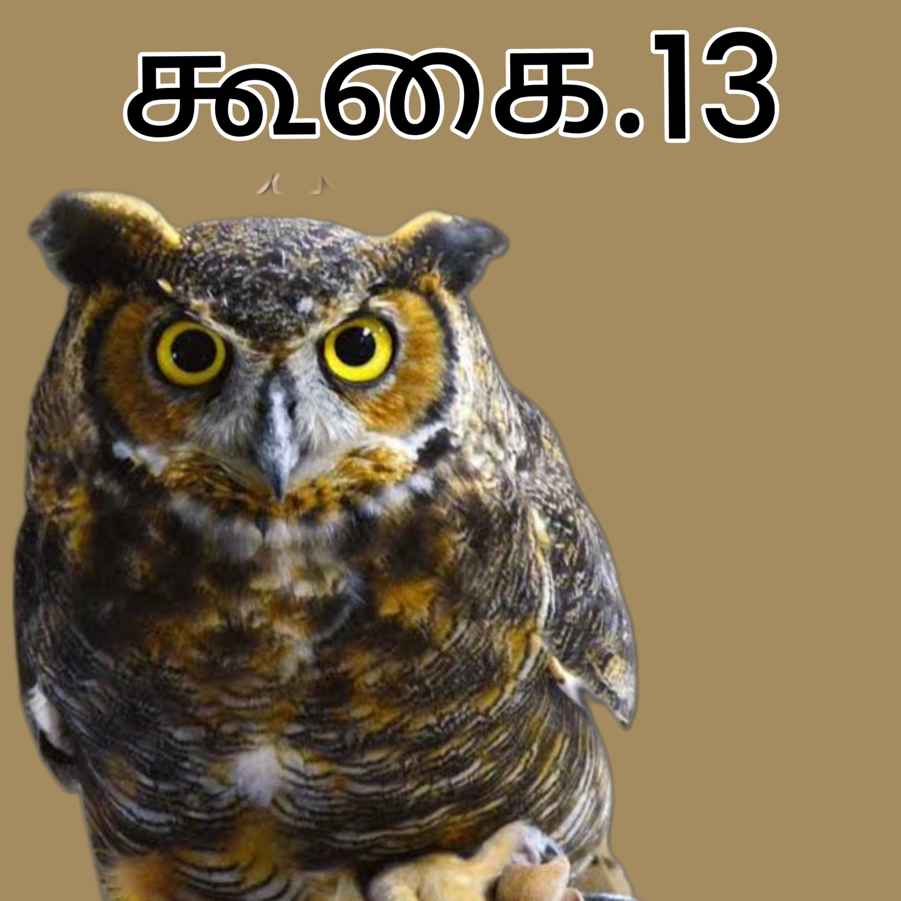 கூகை13 episode artwork