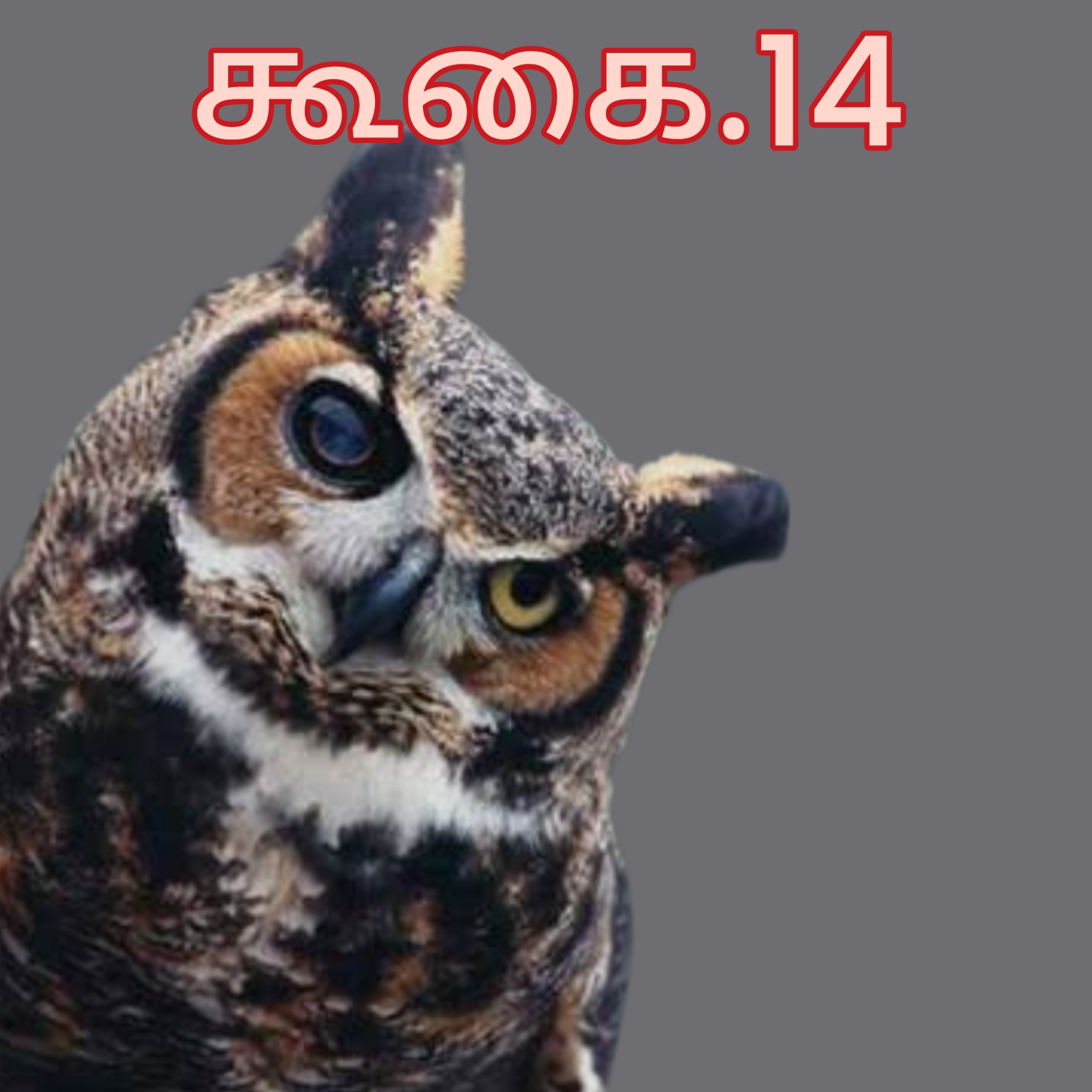 கூகை.14 episode artwork