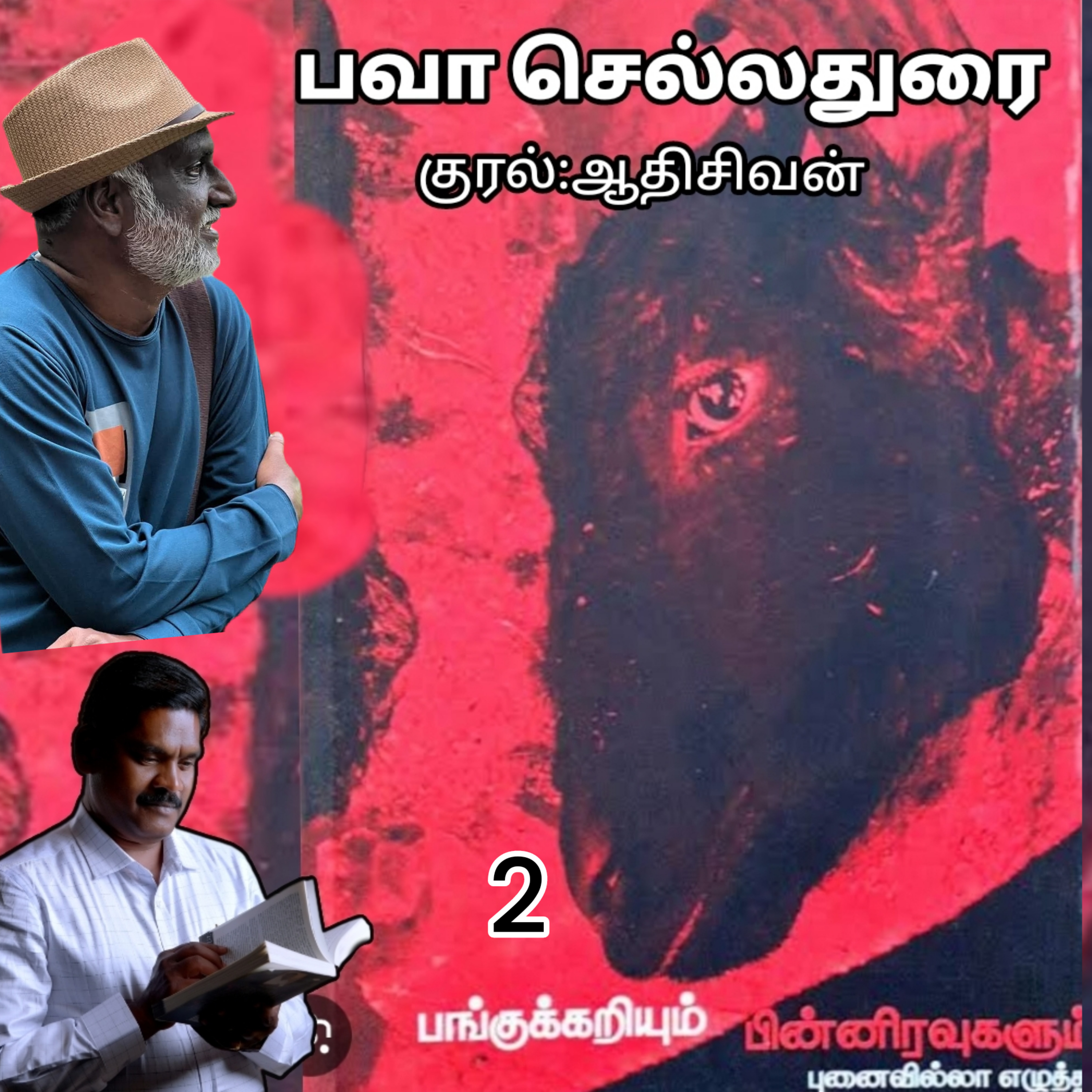 பங்குக்கறியும் பின்னிரவுகளும் (புனைவில்லா எழுத்து) எழுதியவர்.திரு.பவா செல்லதுரை. குரல் .ஆதிசிவன் பாண்டிச்சேரி episode artwork