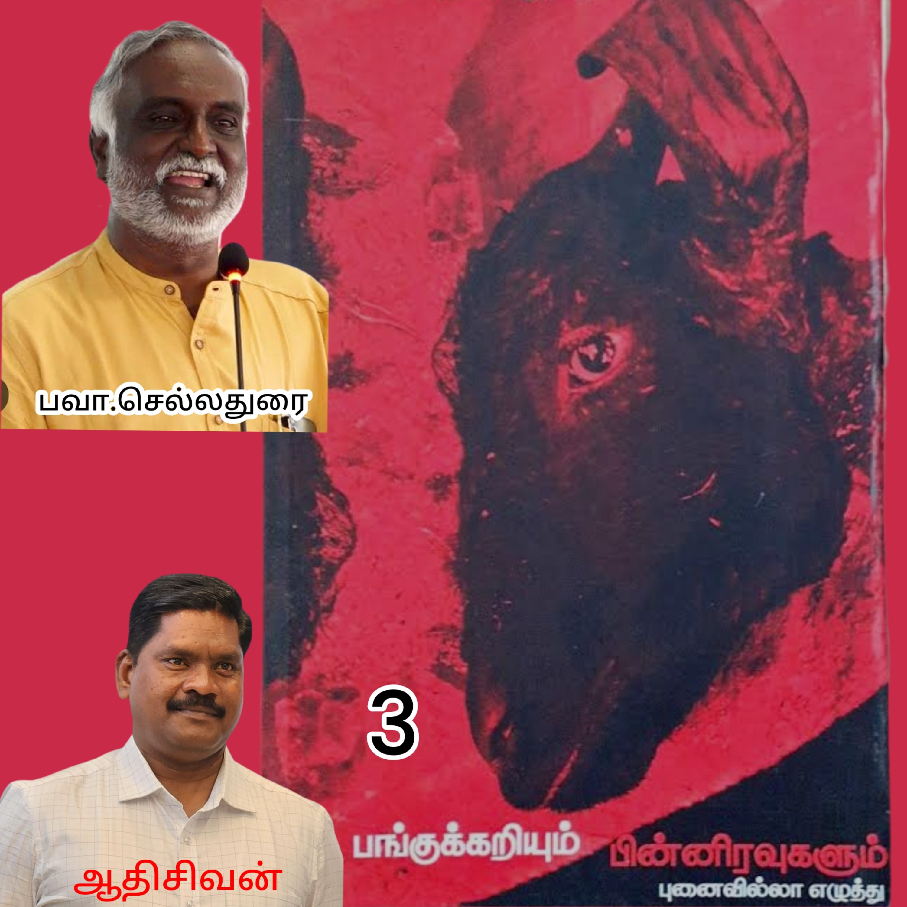 பங்குக்கறியும் பின்னிரவுகளும் (புனைவில்லா எழுத்து)எழுதியவர்.திரு.பவா செல்லதுரை.குரல் ஆதிசிவன் பாண்டிச்சேரி episode artwork