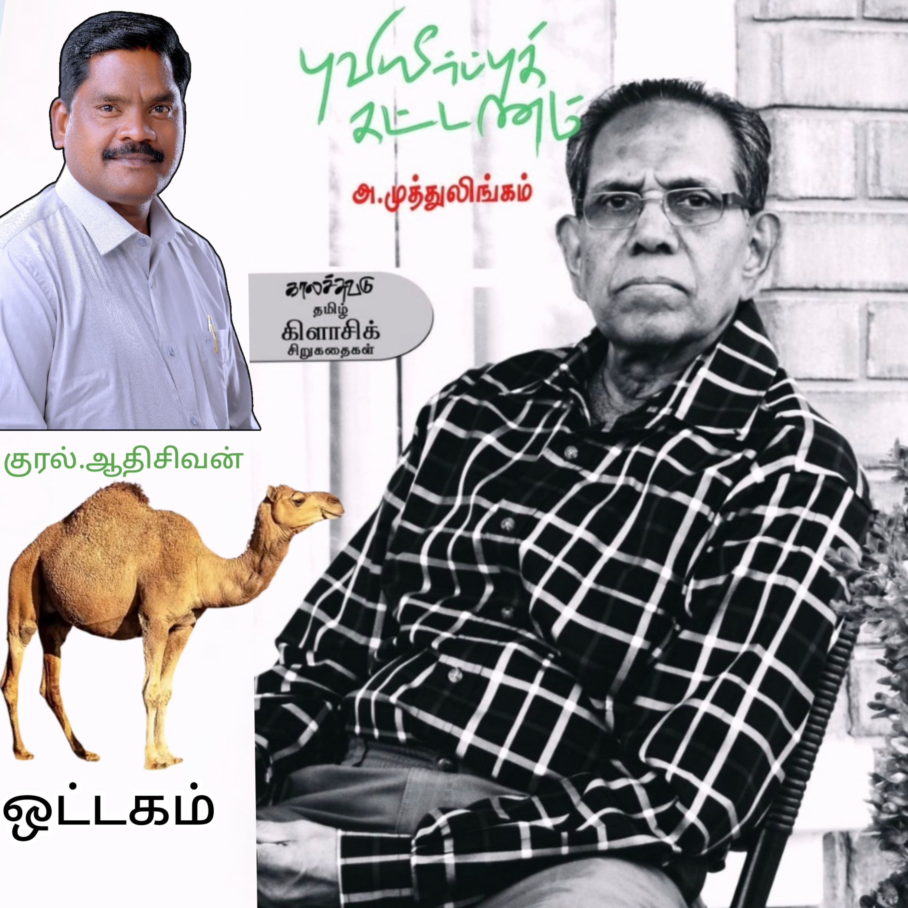 ஒட்டகம் ( சிறுகதை). எழுதியவர். எழுத்தாளர். திரு.அ.முத்துலிங்கம். குரல். ஆதிசிவன் அபிஷேகப்பாக்கம். பாண்டிச்சேரி. தொடர்பு எண்.9360746310 episode artwork