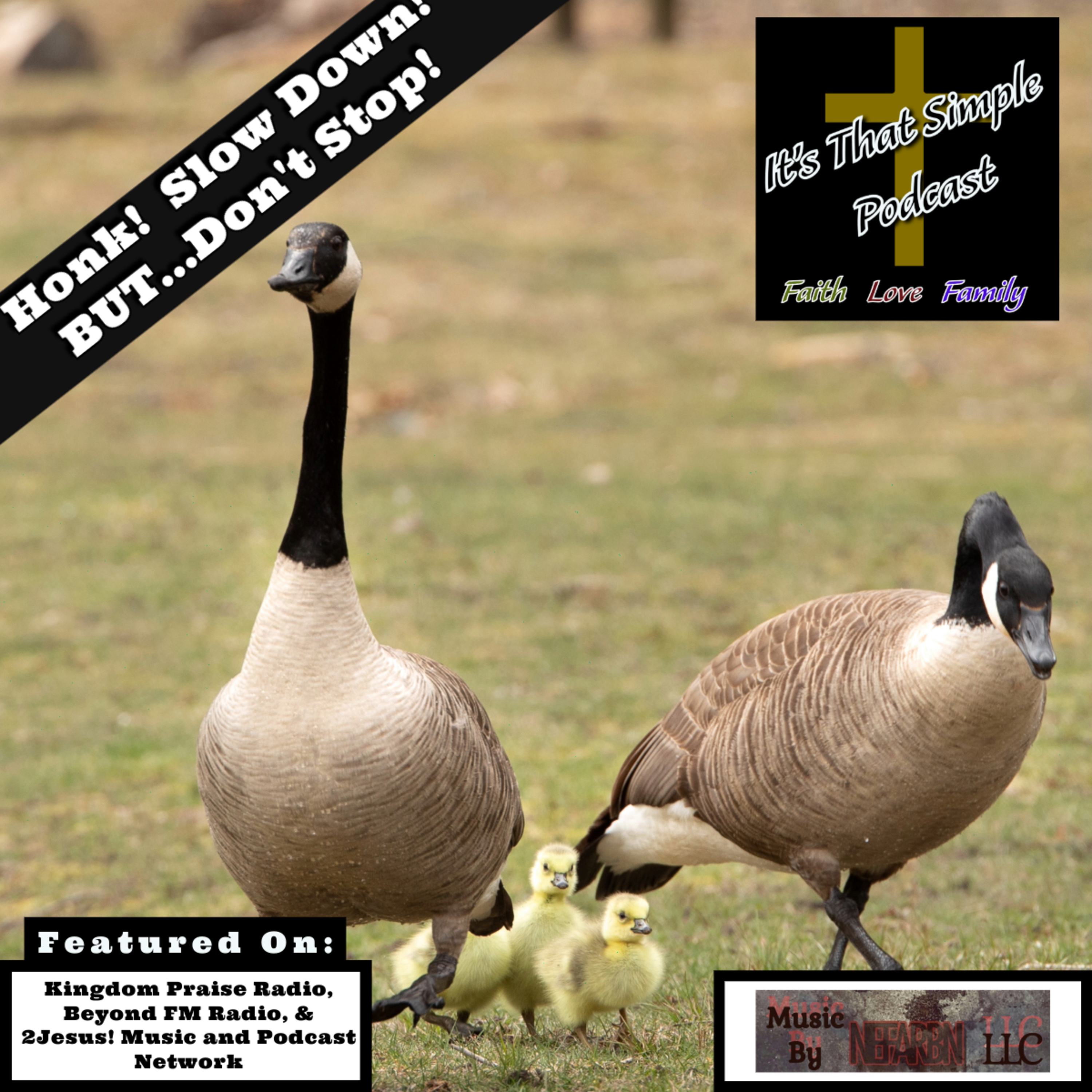 Honk! Slow Down! BUT...Don't Stop!
