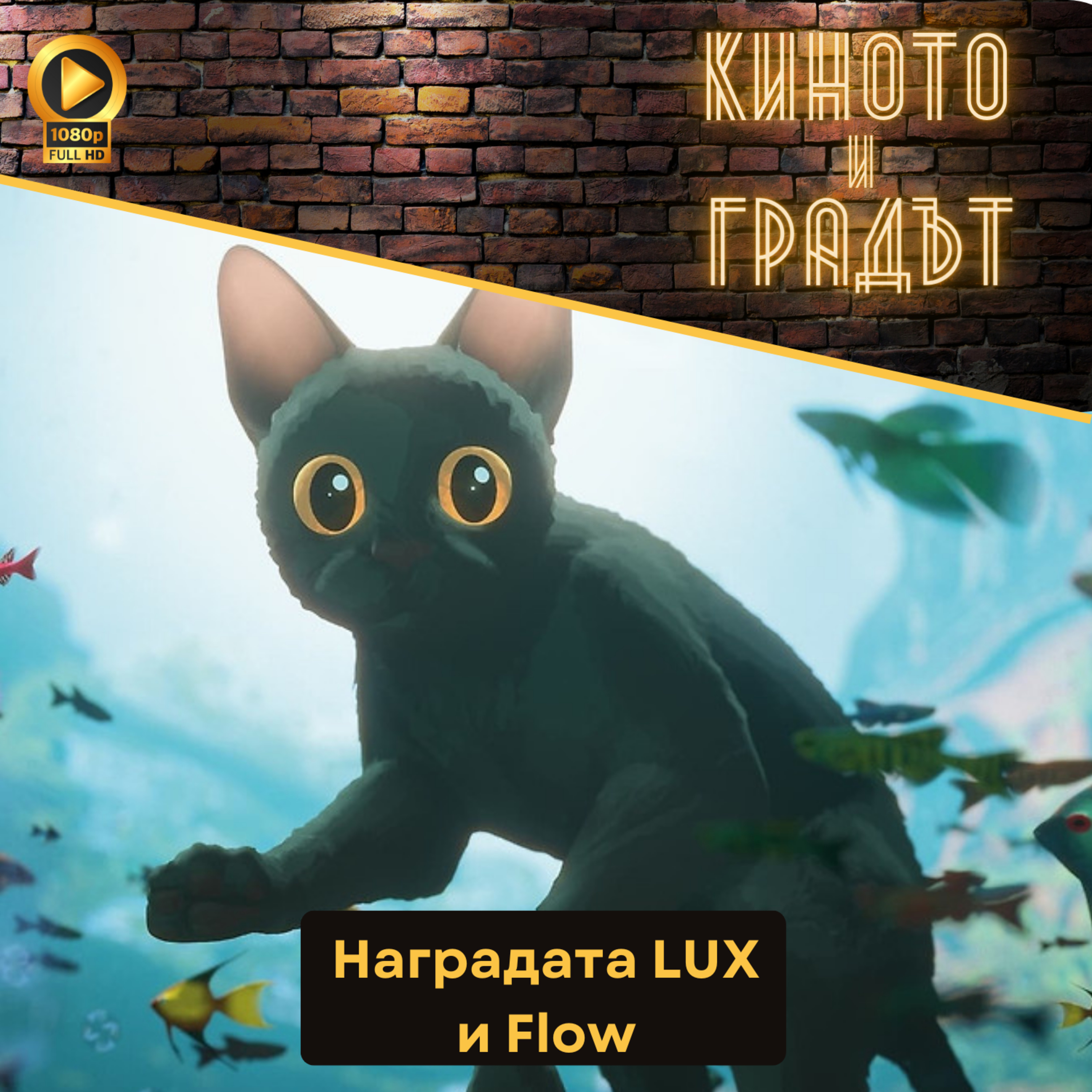 Наградата LUX и Flow episode artwork