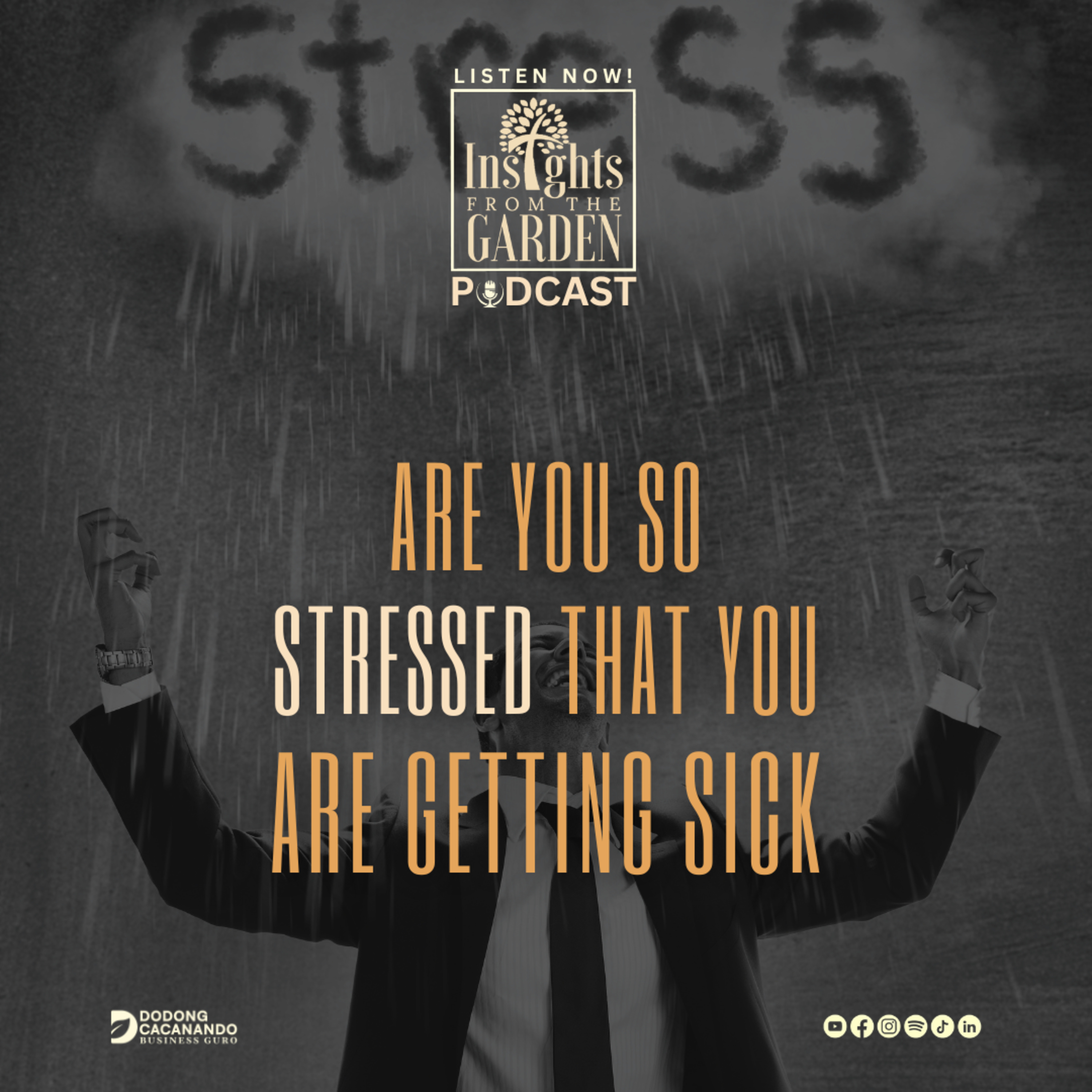 Are You So Stressed That You Are Getting Sick episode artwork
