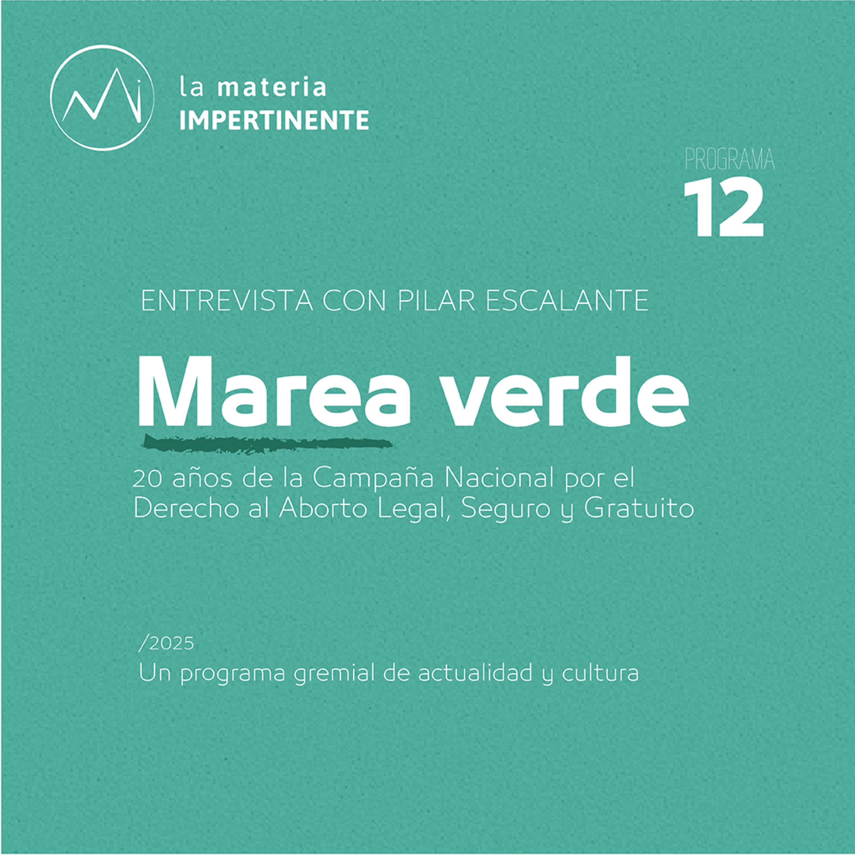 Marea Verde | 20 años de la Campaña Nacional por el derecho al aborto episode artwork