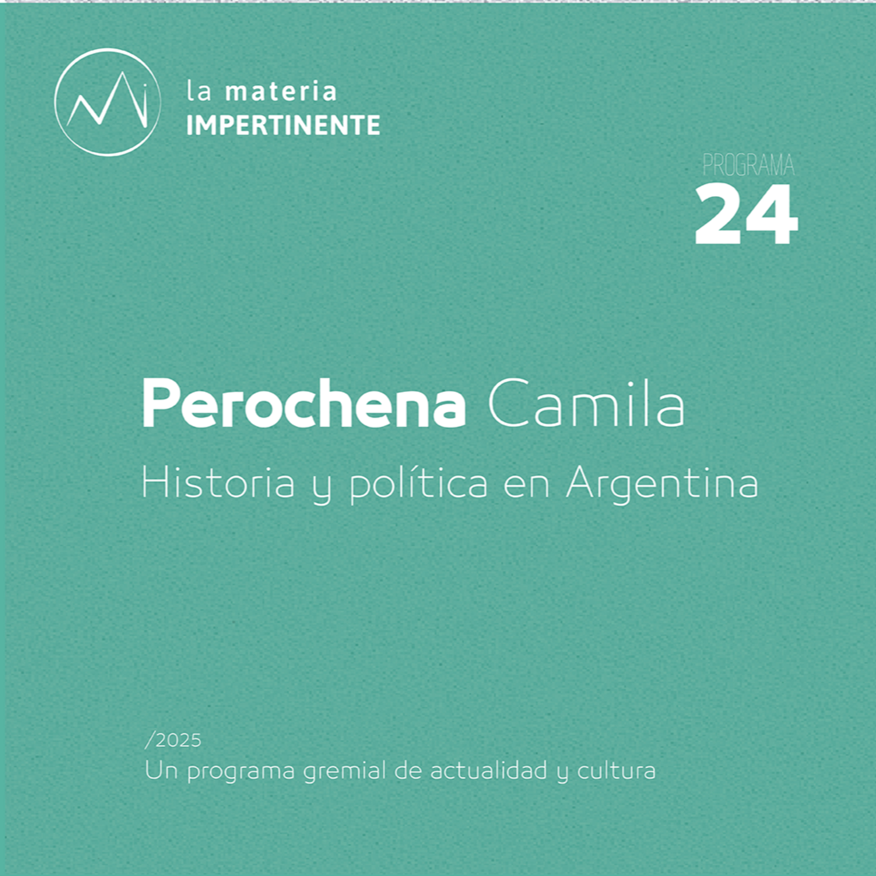 La historia en la vida política Argentina | Entrevista a Camila Perochena episode artwork