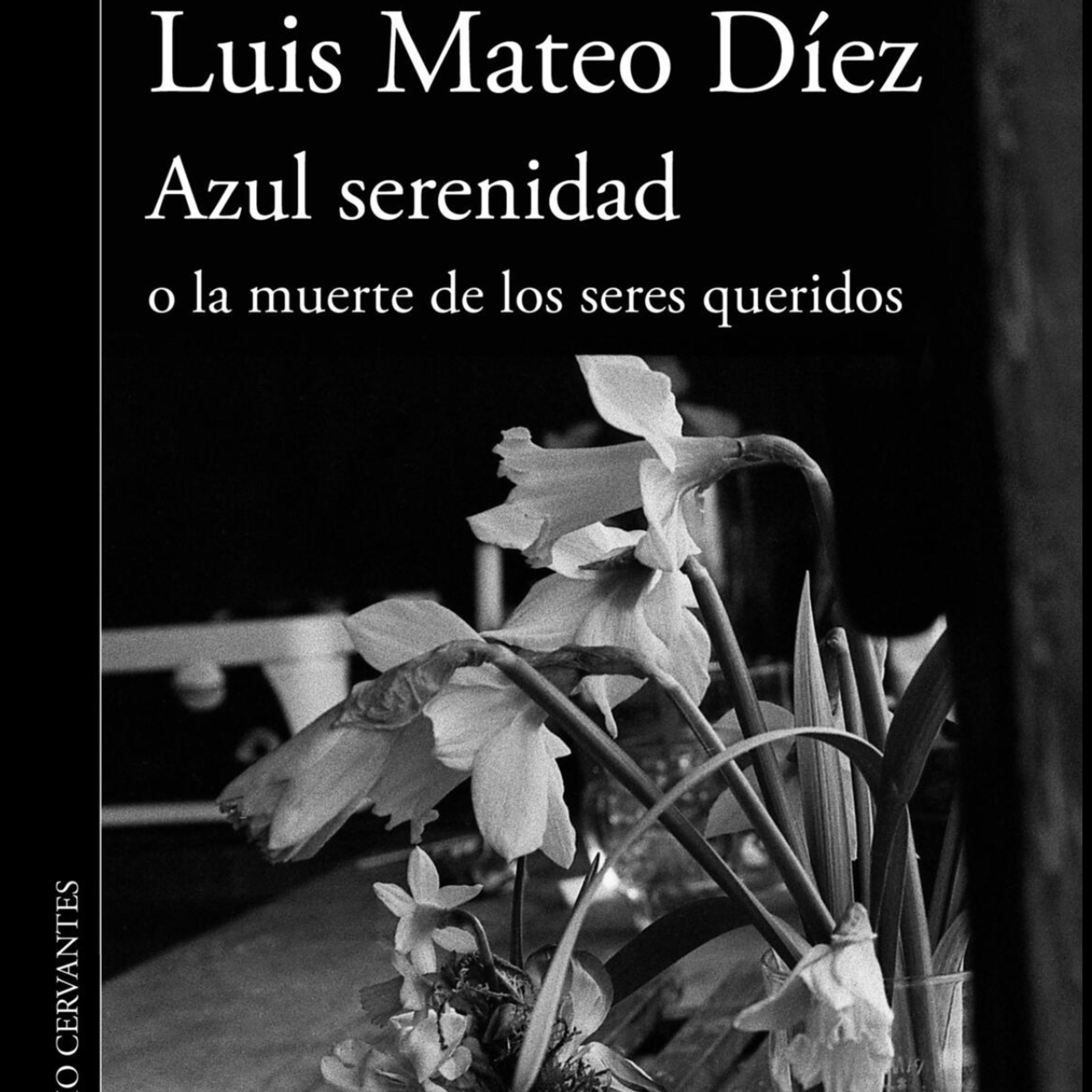 Azul serenidad, de Luis Mateo Dīez episode artwork