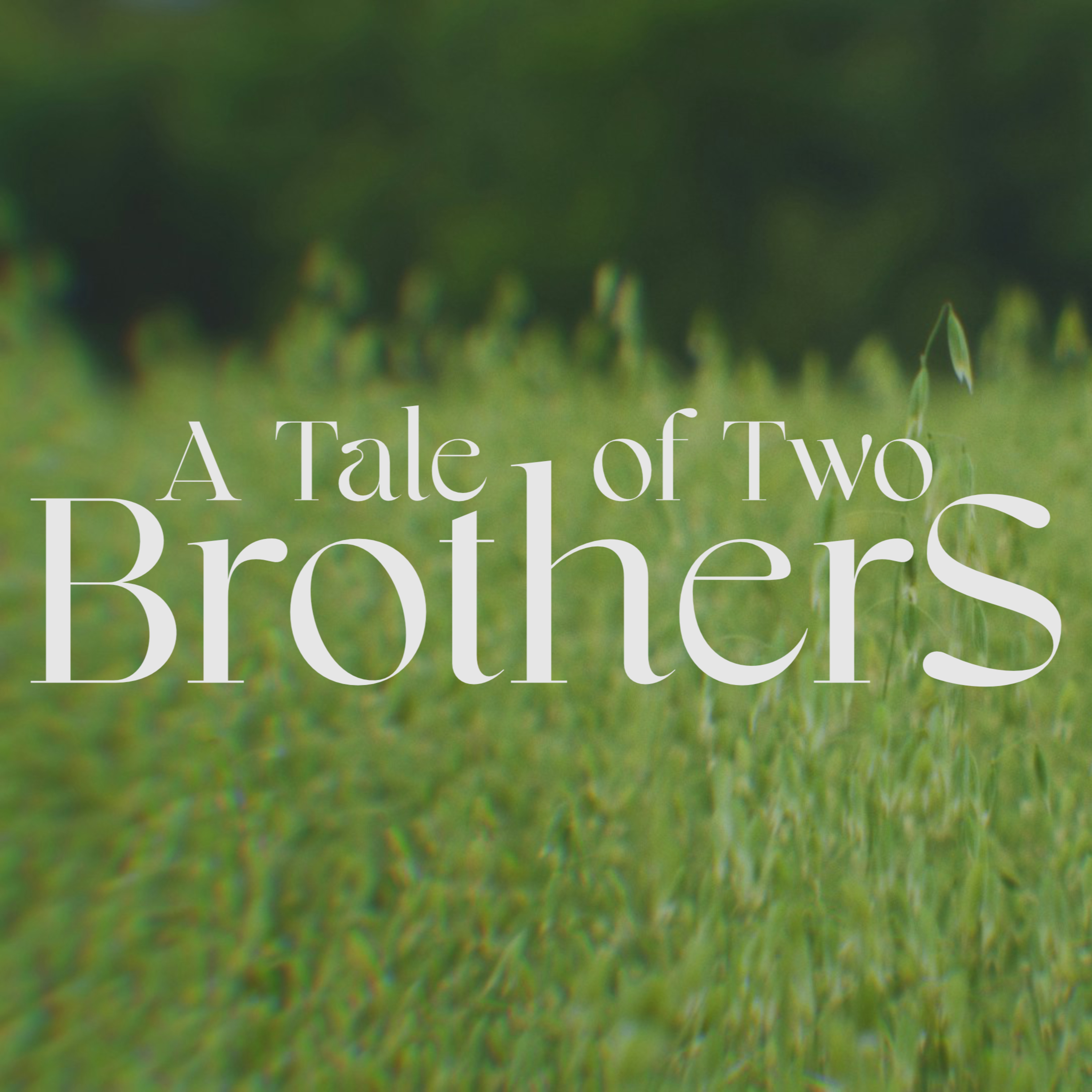 April 12 - A Tale of Two Brothers episode artwork
