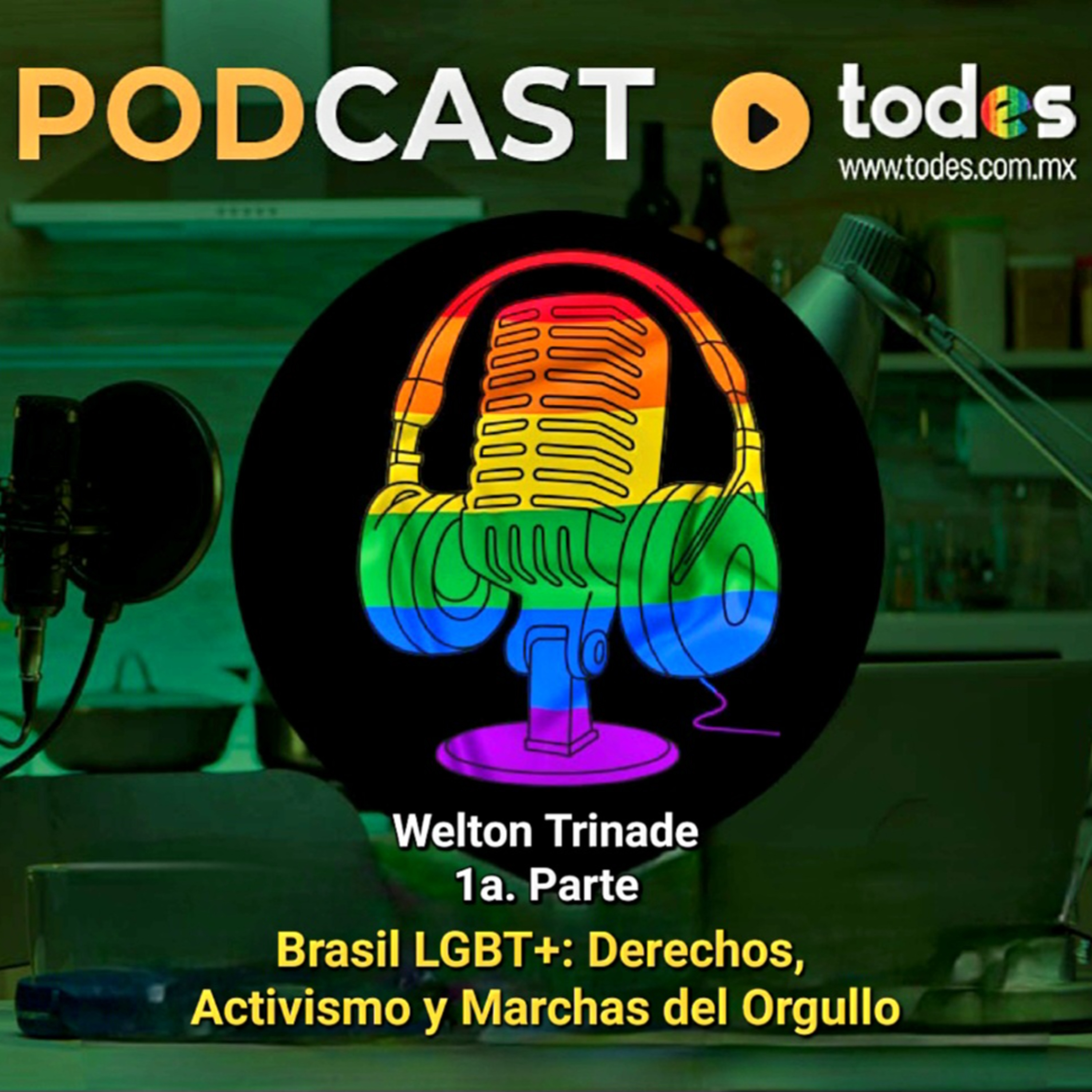 Brasil LGBT+: Derechos, Activismo y Marchas del Orgullo / 1a Parte episode artwork