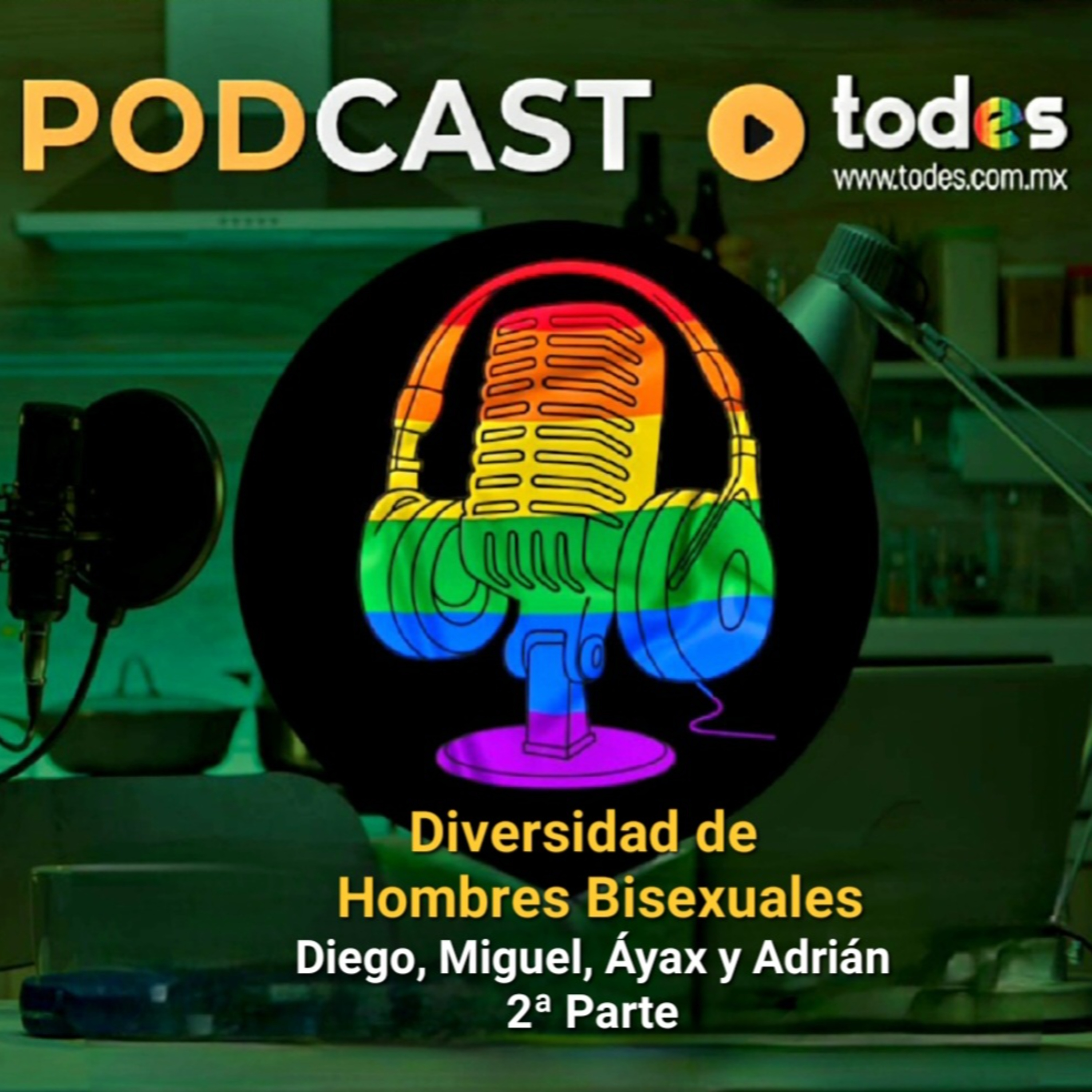 Diversidad de Hombres Bisexuales / 2ª Parte episode artwork