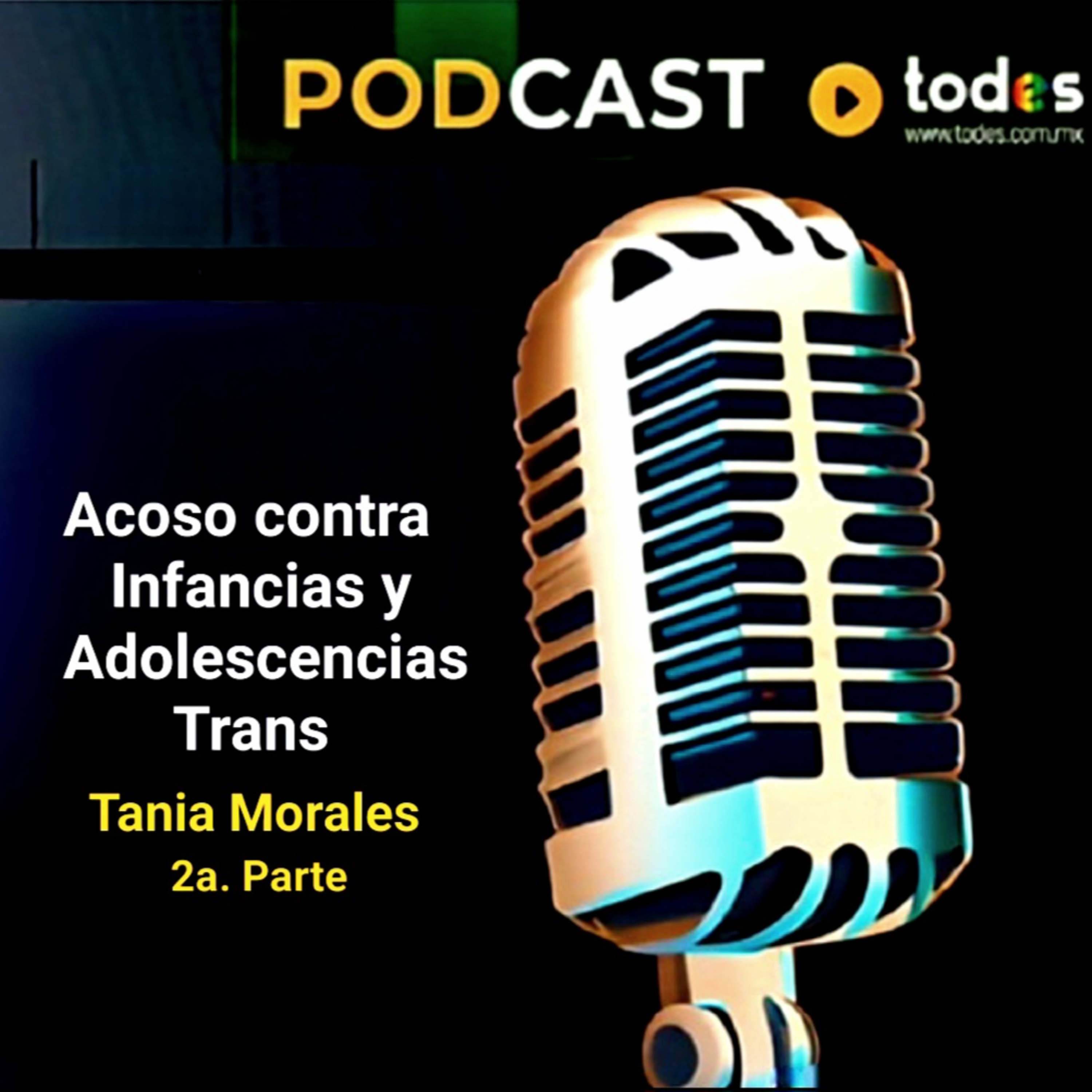 El Acoso contra Infancias y Adolescencias Trans / 2ª Parte episode artwork