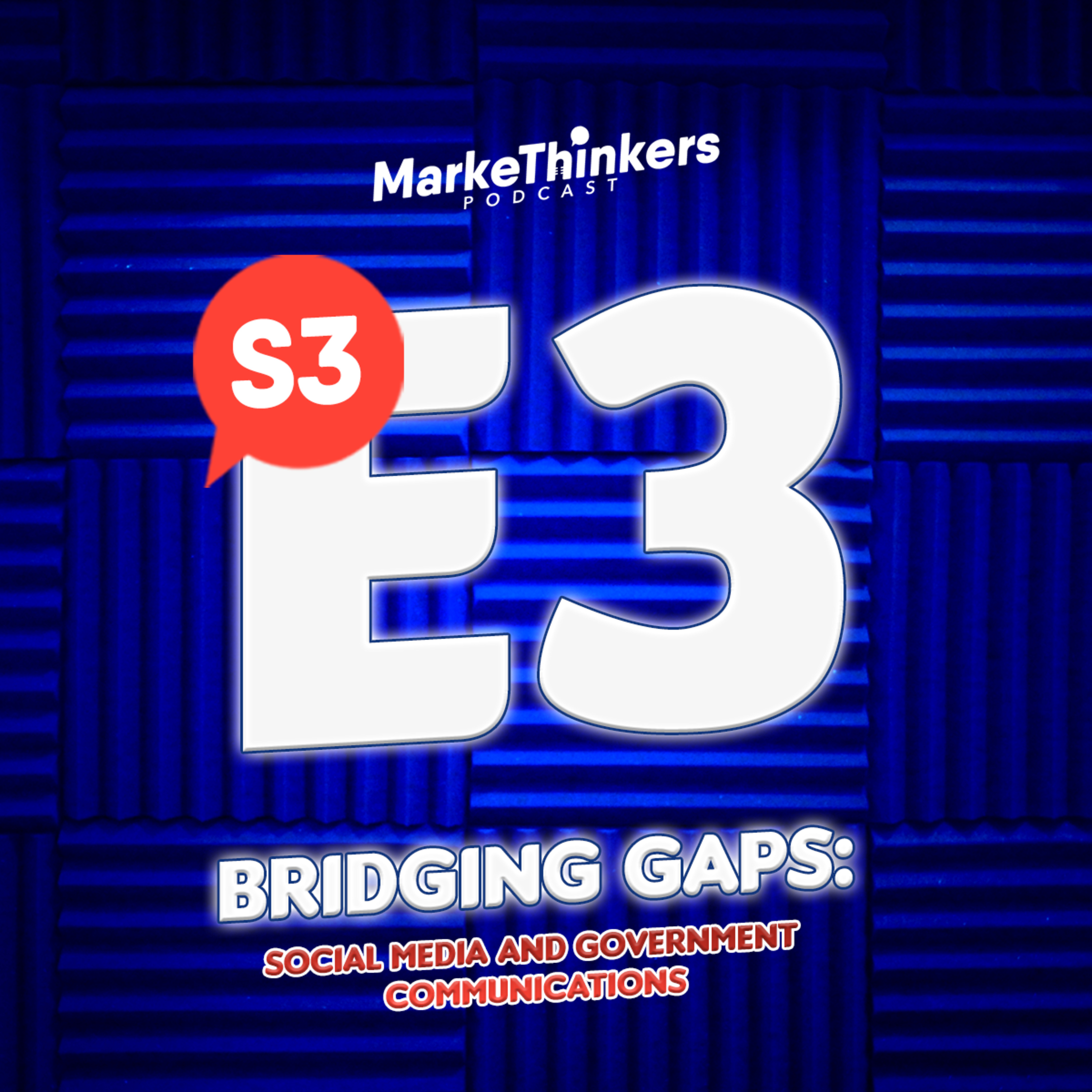 Bridging Gaps: Social Media and Government Communications