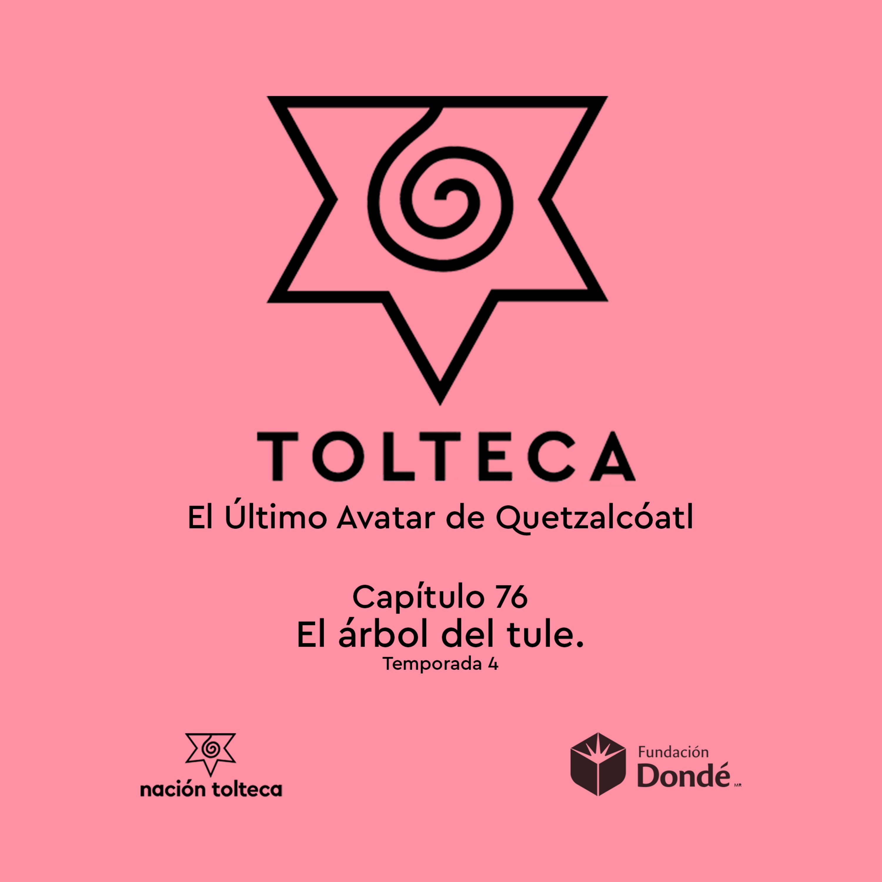 Capitulo 76) El árbol de tule