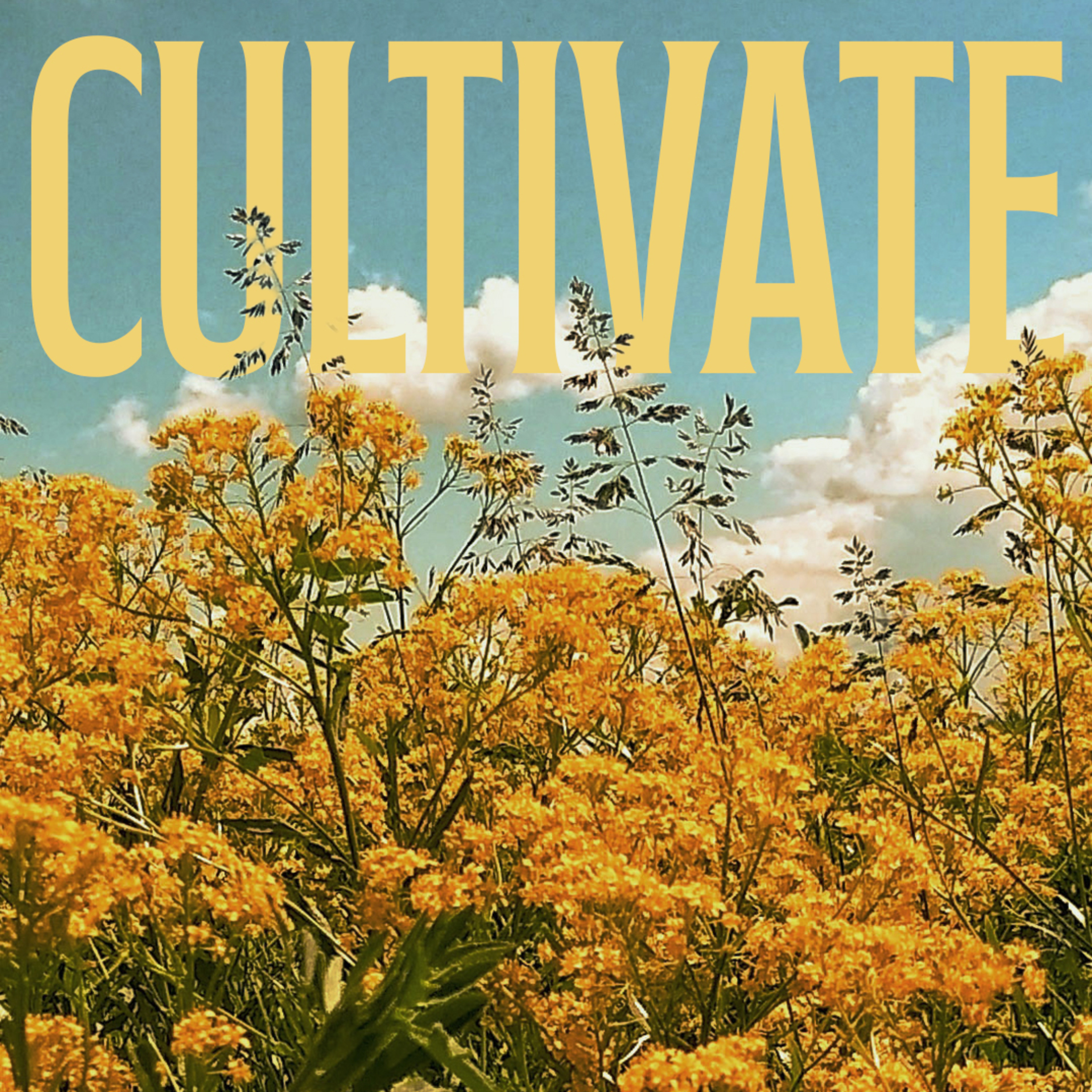 Activating Spiritual Immunity Boosters! - LIVE episode artwork
