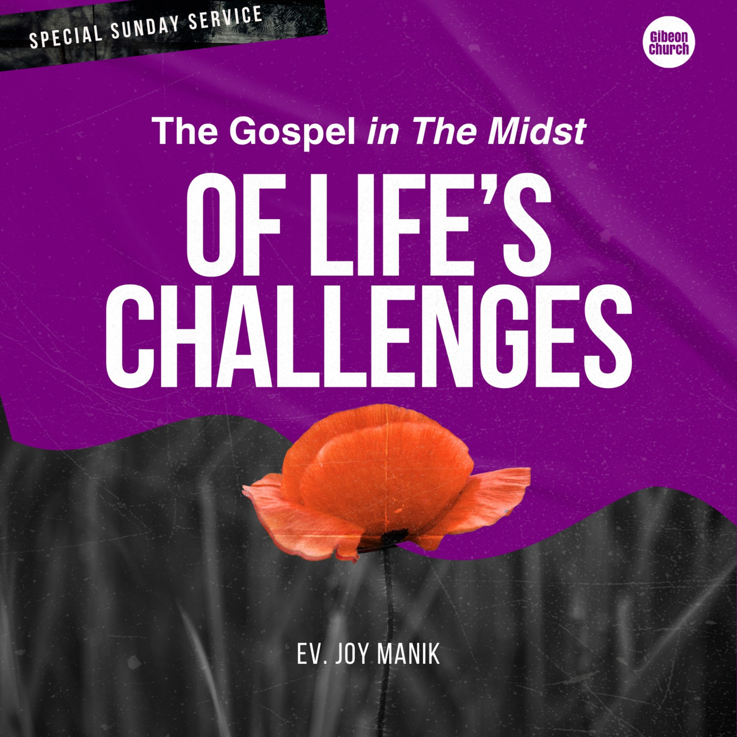 Special Service "The Gospel In Midst Of Life's Challenges" Ev. Joy Manik episode artwork