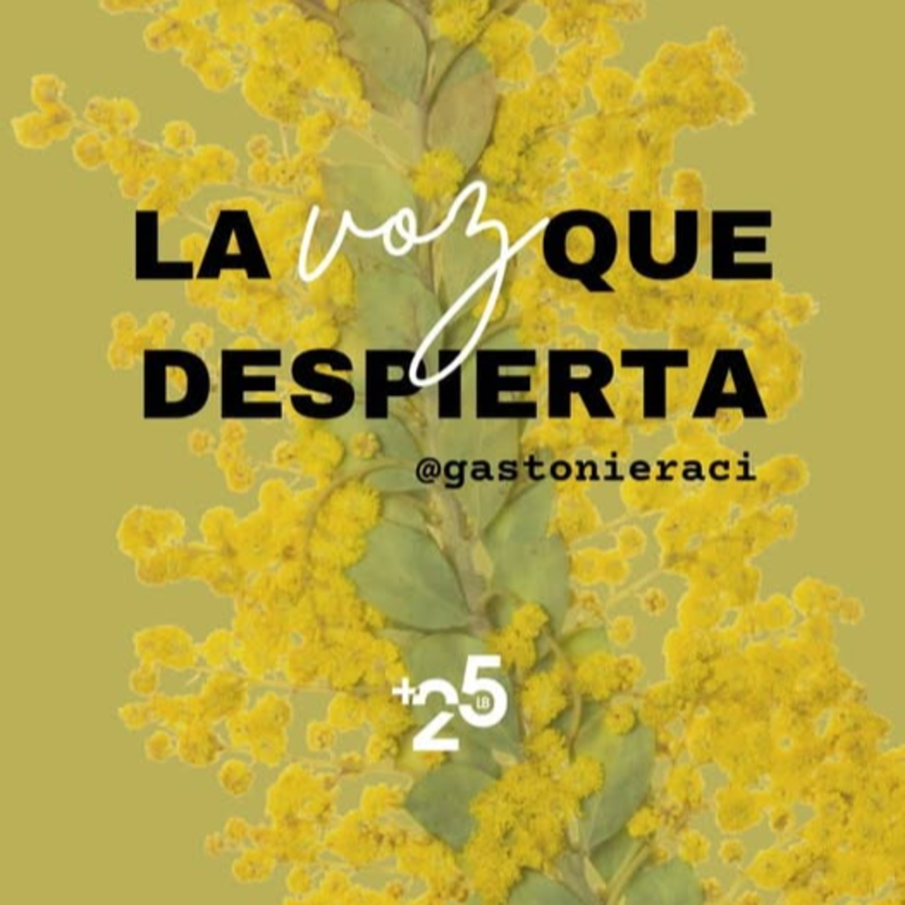 La voz que despierta episode artwork