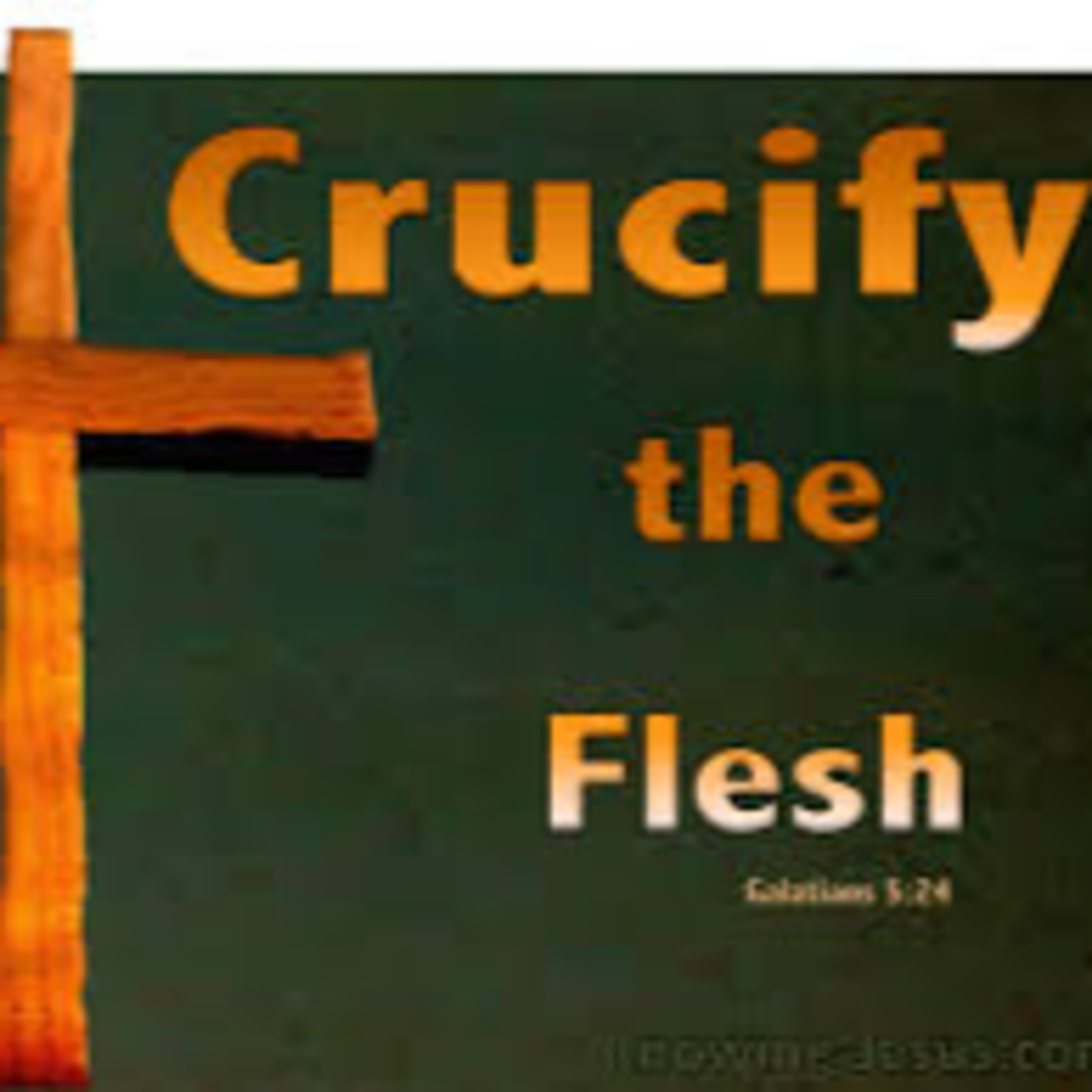 Crucify the Flesh, Bear the Fruit: Walking in the Spirit (Galatians 5:19–25)