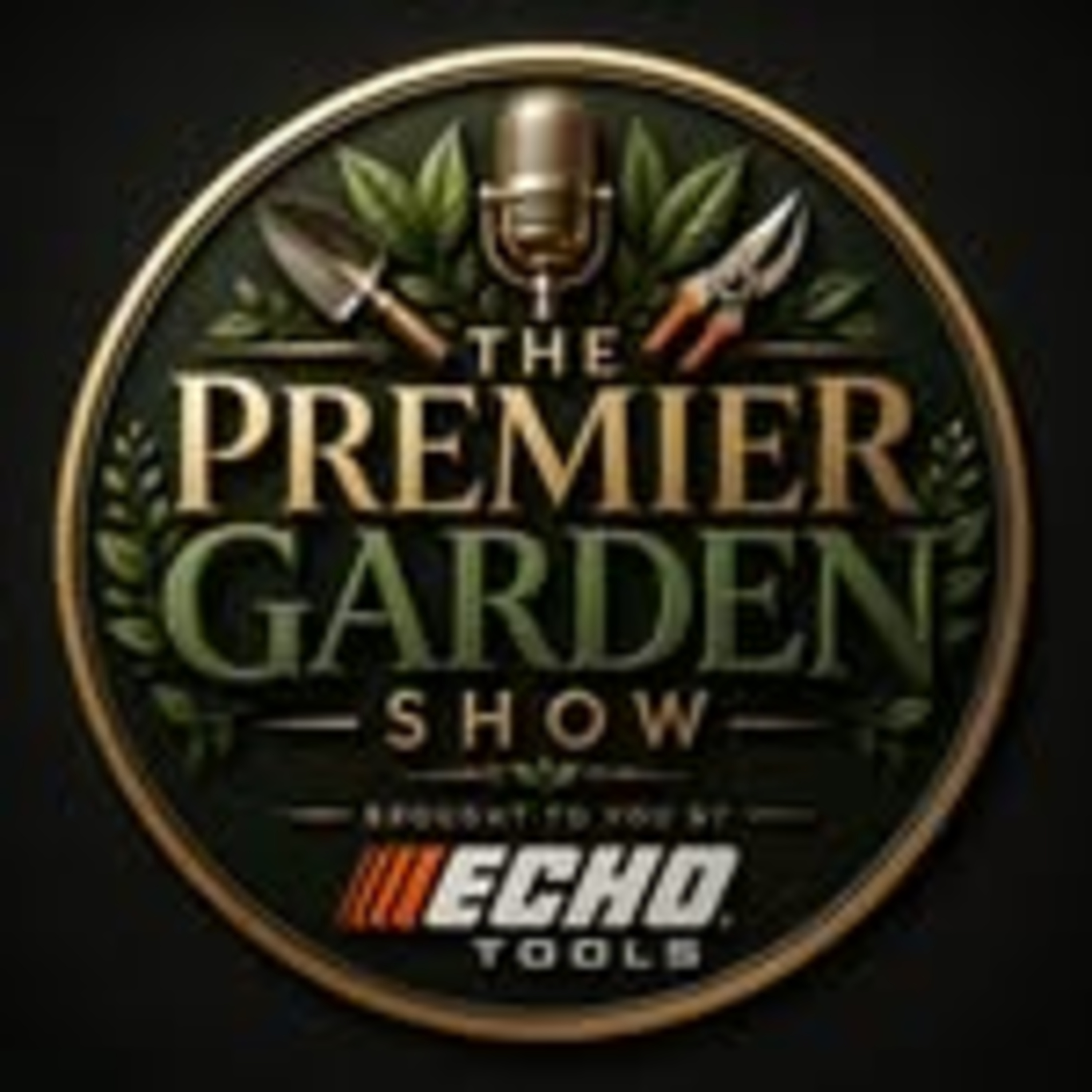 Thank You ECHO  episode artwork